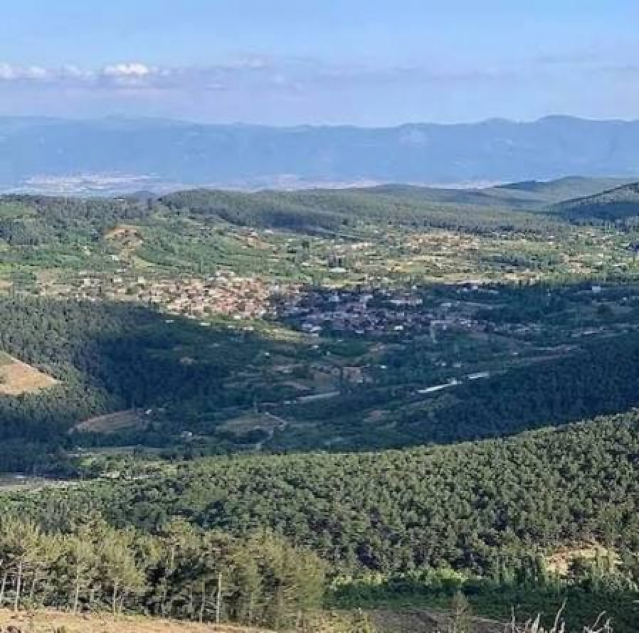 Çınardibi Mesire Alanı Nerede? Kamp, Piknik ve Ulaşım Rehberi