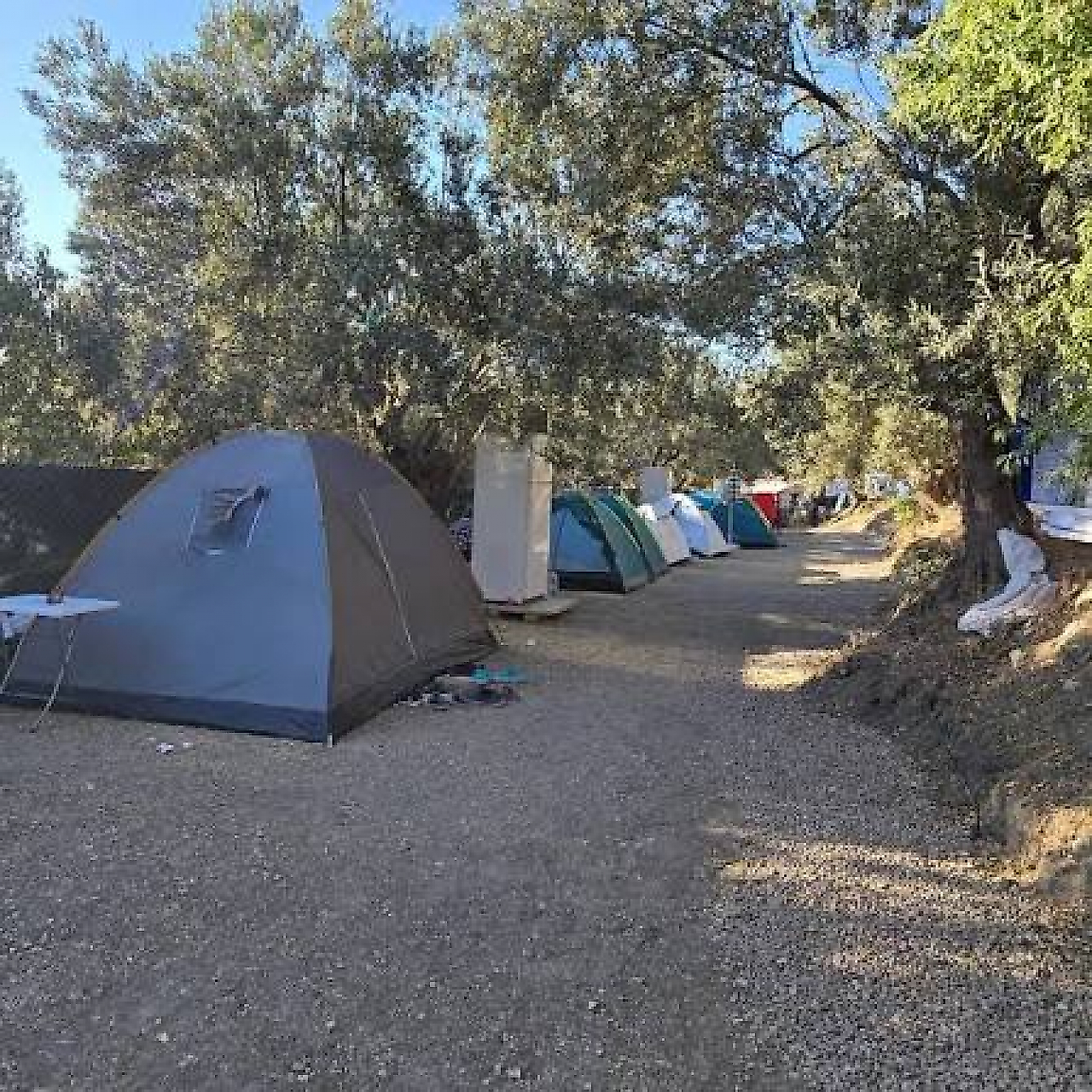 Dikili Kamp Yerleri: Denize Sıfır ve Doğayla İç İçe Kamp Alanları
