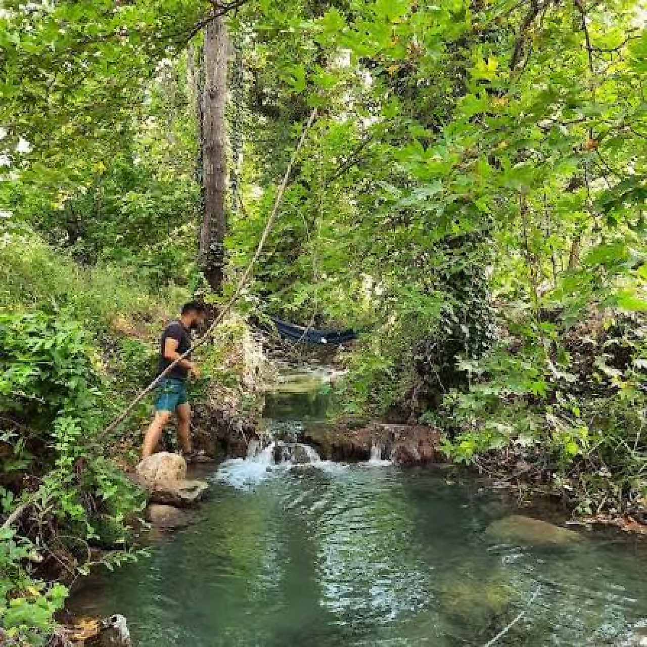 Nazarköy Dere Camping: İzmir Kemalpaşa'da Dere Kenarında Kamp Rehberi