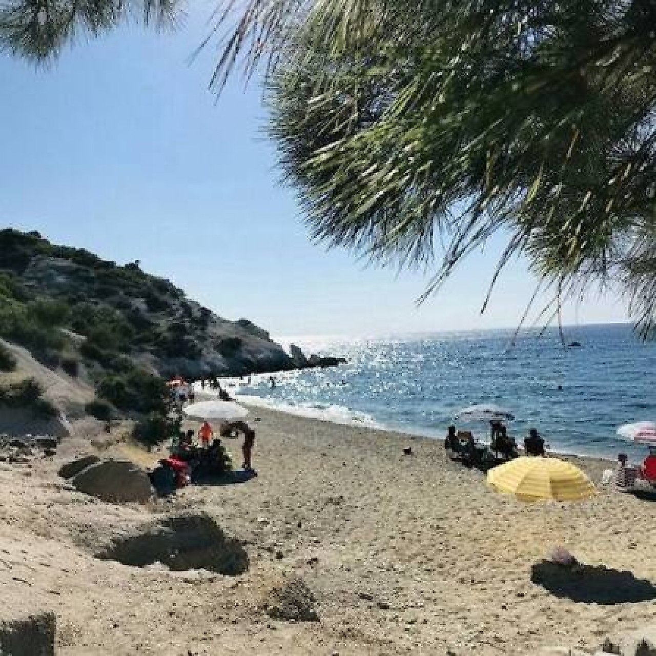 Mersinaki Koyu Kamp Alanı Nerede? Foça'da Deniz Manzarası Eşliğinde Kamp Rehberi