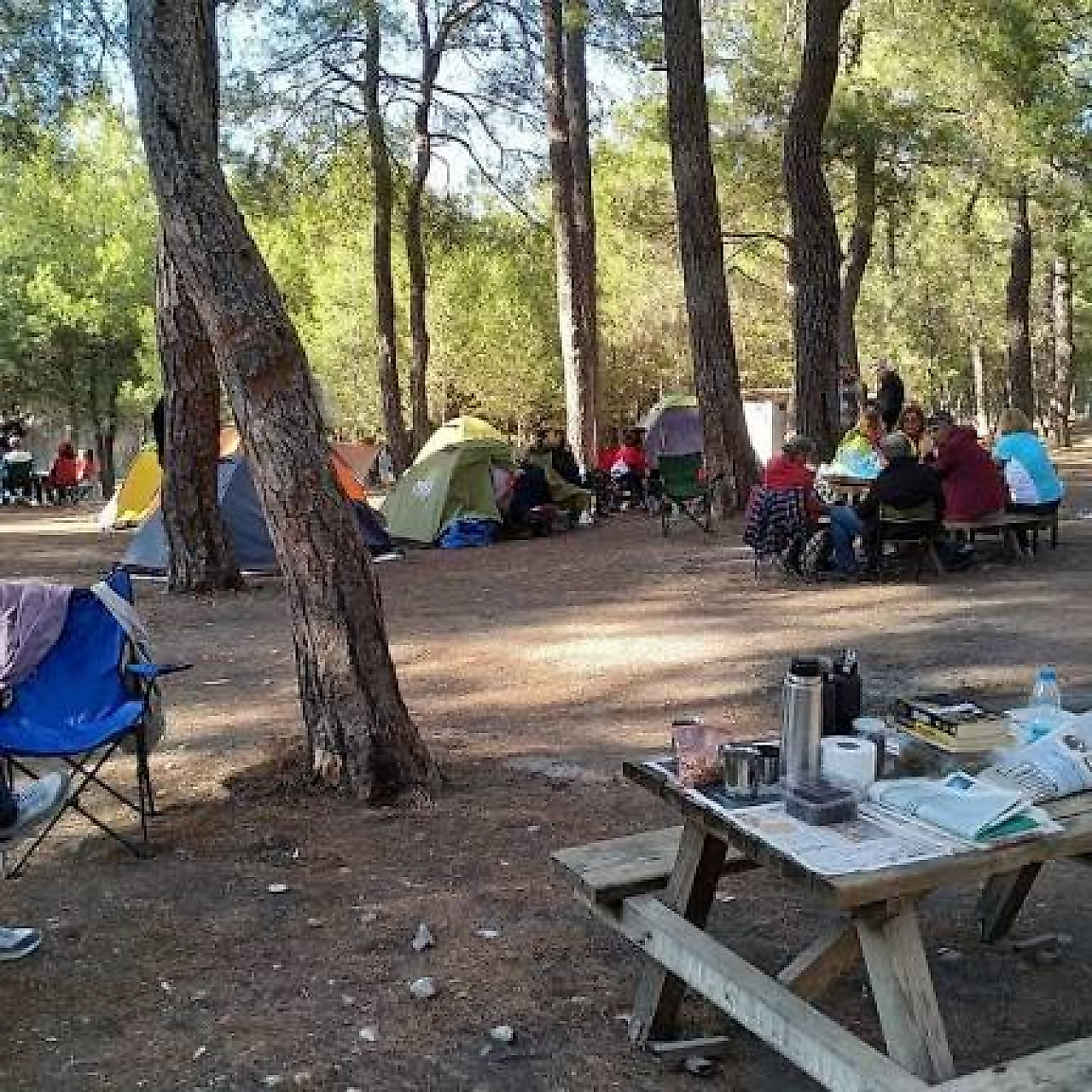 Park Orman Kemalpaşa Kamp Alanı: Doğayla İç İçe Bir Kamp Deneyimi
