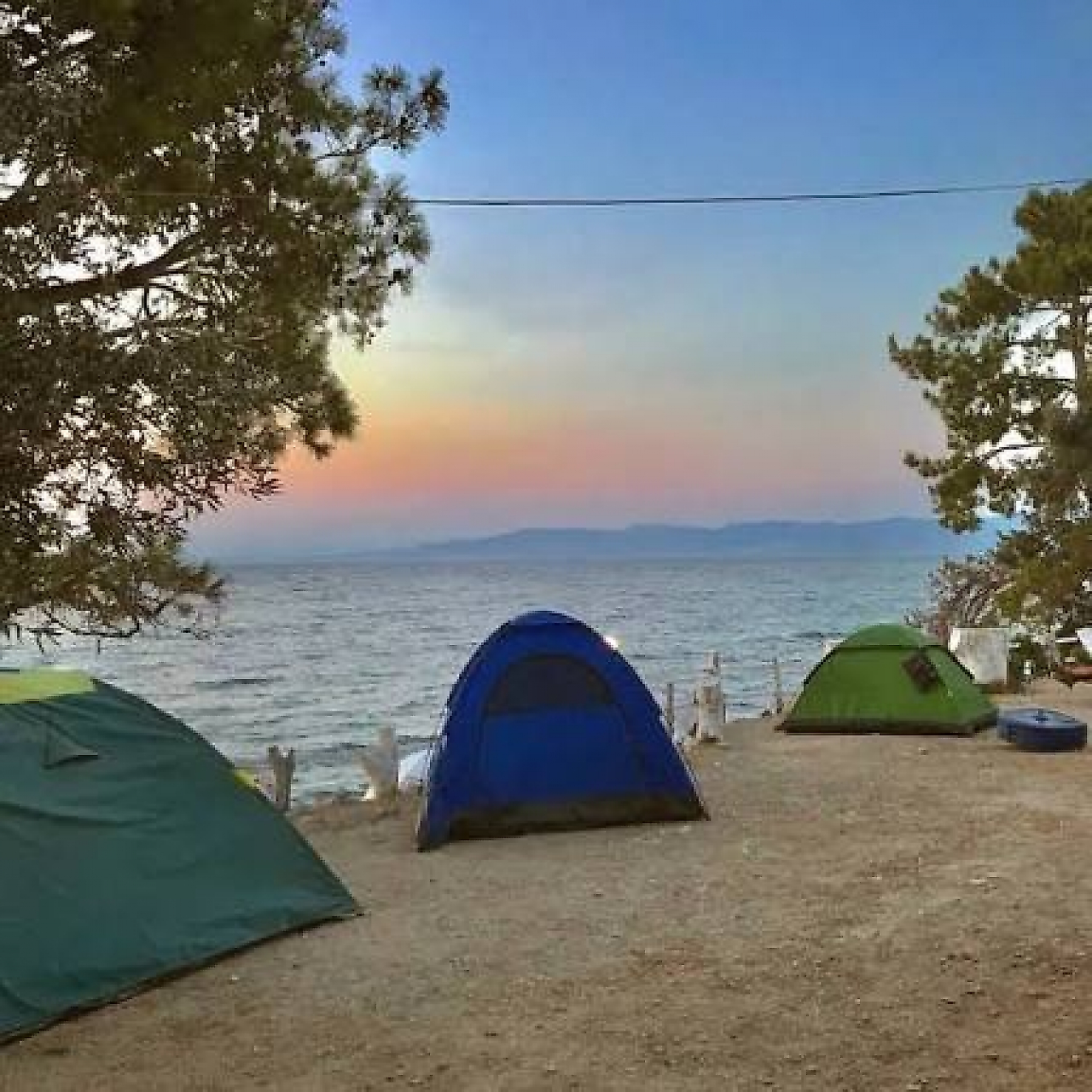 Çam Camping: Dikili'de Denize Sıfır Çam ve Zeytin Ağaçları Arasında Kamp Keyfi