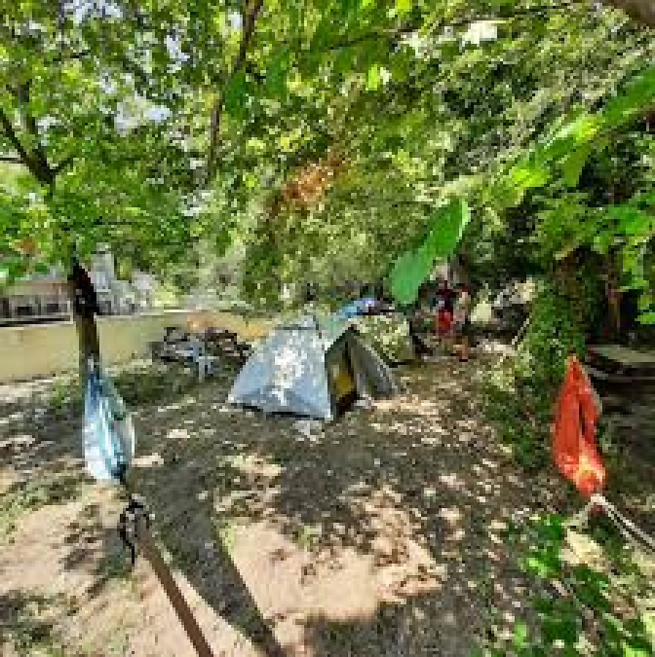 Nazarköy Dere Camping: İzmir Kemalpaşa'da Dere Kenarında Kamp Rehberi