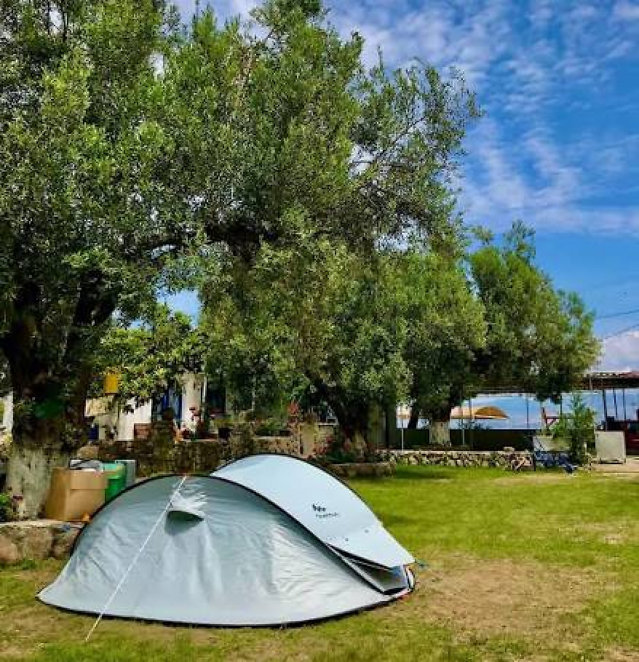 Huzur Camping Dikili: Ege'nin Doğasında Huzurlu Bir Kamp Deneyimi