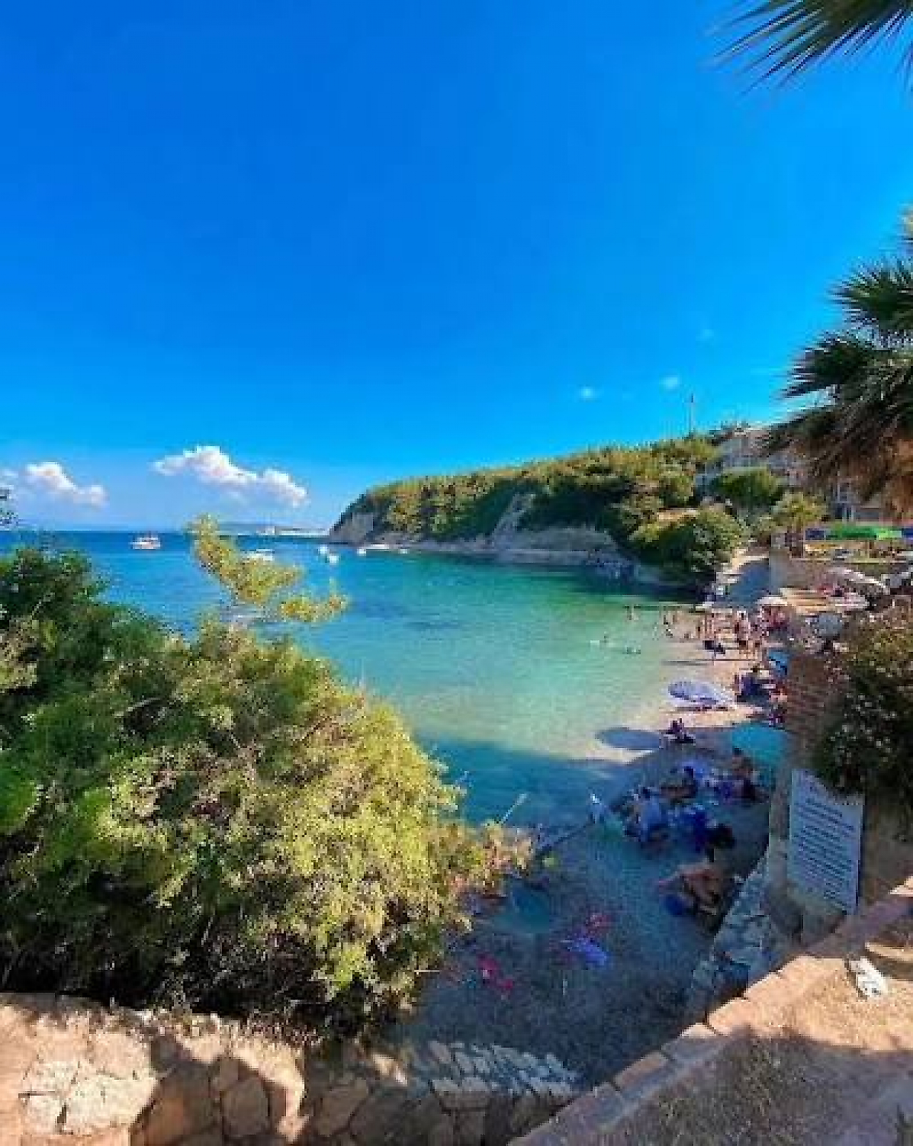 Ayıbalığı Koyu Kamp Alanı: İzmir Karaburun'da Deniz ve Doğayla İç İçe Kamp