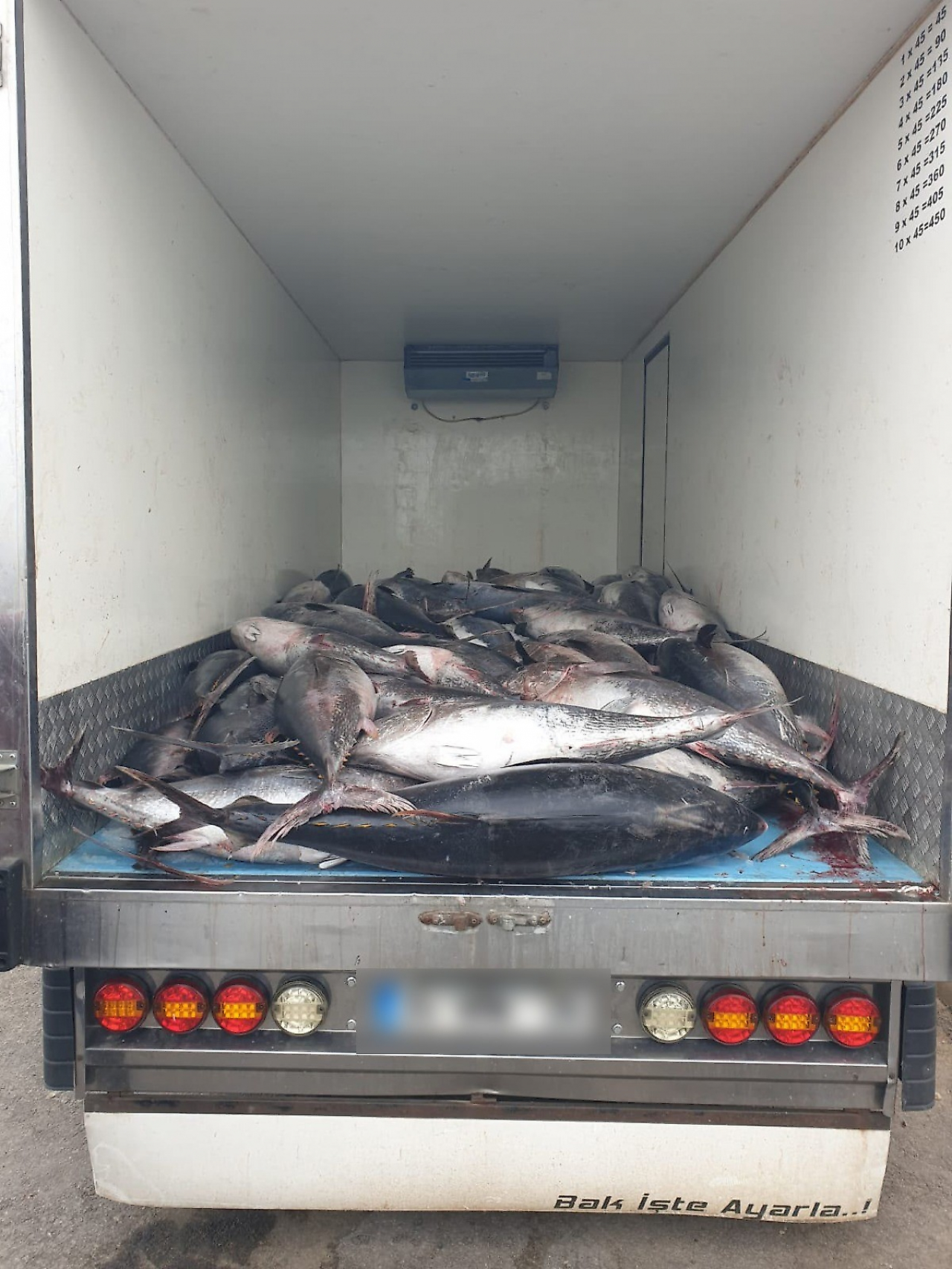İzmir'de kaçak avcılığa darbe: Güzelbahçe'de 3 ton orkinos yakalandı
