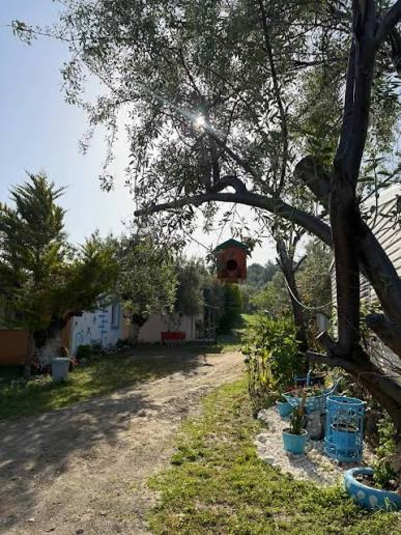 Güneş Tatil Köyü: Dikili'de Denize Yakın, Doğayla İç İçe Kamp Keyfi