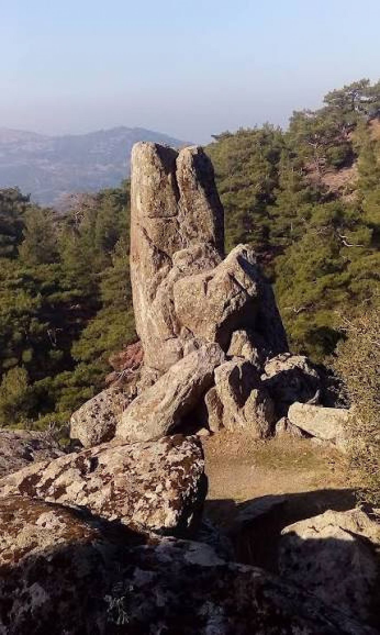 Yamanlar Dağı Kamp Alanları: Karşıyaka'da Orman ve Körfez Manzarası Eşliğinde Kamp Rehberi