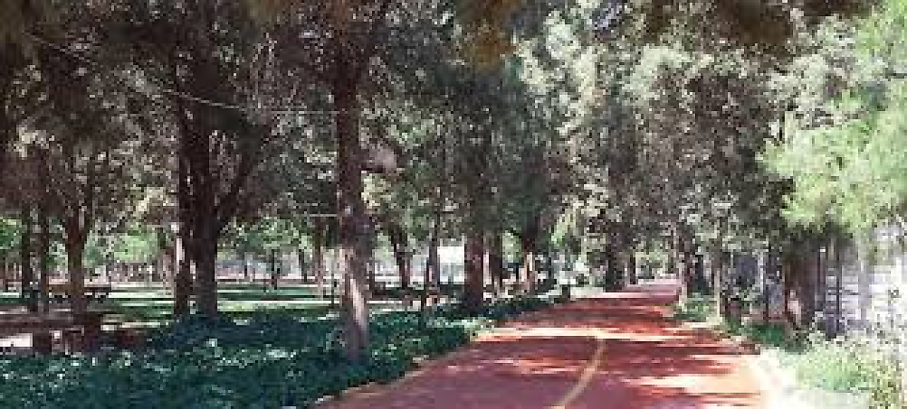 İzmir Torbalı Kamp Yerleri: Ormanlık Alanlar, Mesire Yerleri ve Doğayla İç İçe Rotalar