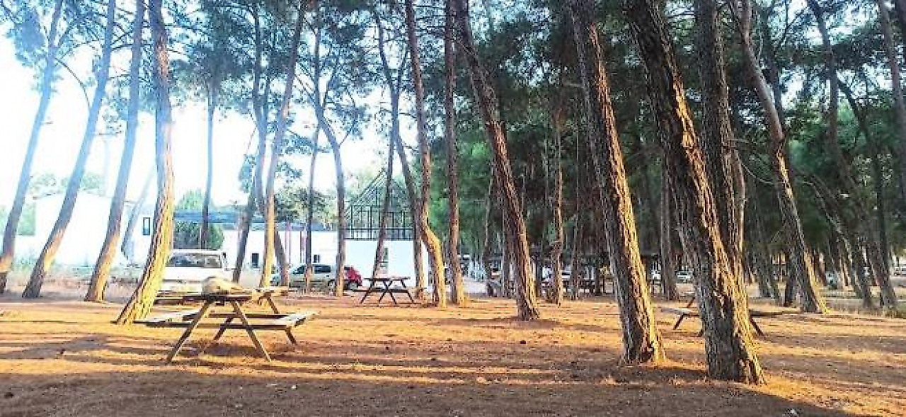 Buca Kamp Alanları: İzmir Buca'da Kamp Yapılabilecek Yerler