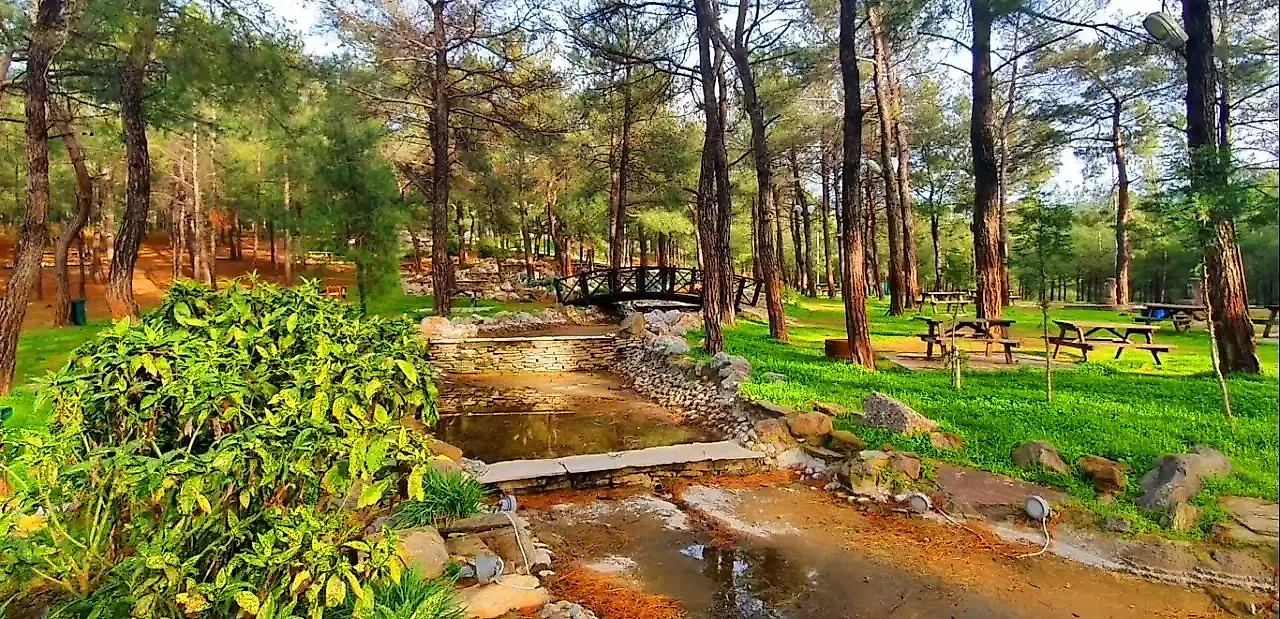 Sasalı Piknik Alanı: Çiğli'de Doğayla İç İçe Kamp ve Piknik Keyfi