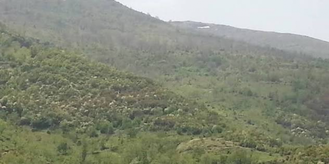 Beydağ Kamp Alanları: İzmir Beydağ'da Kamp Yapılabilecek Yerler