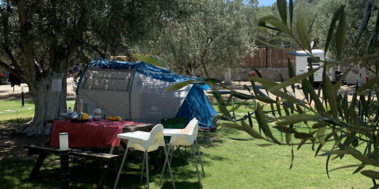 Zeytin Gölgesi Camping: Dikili'de Zeytin Ağaçlarının Gölgesinde Kamp Keyfi
