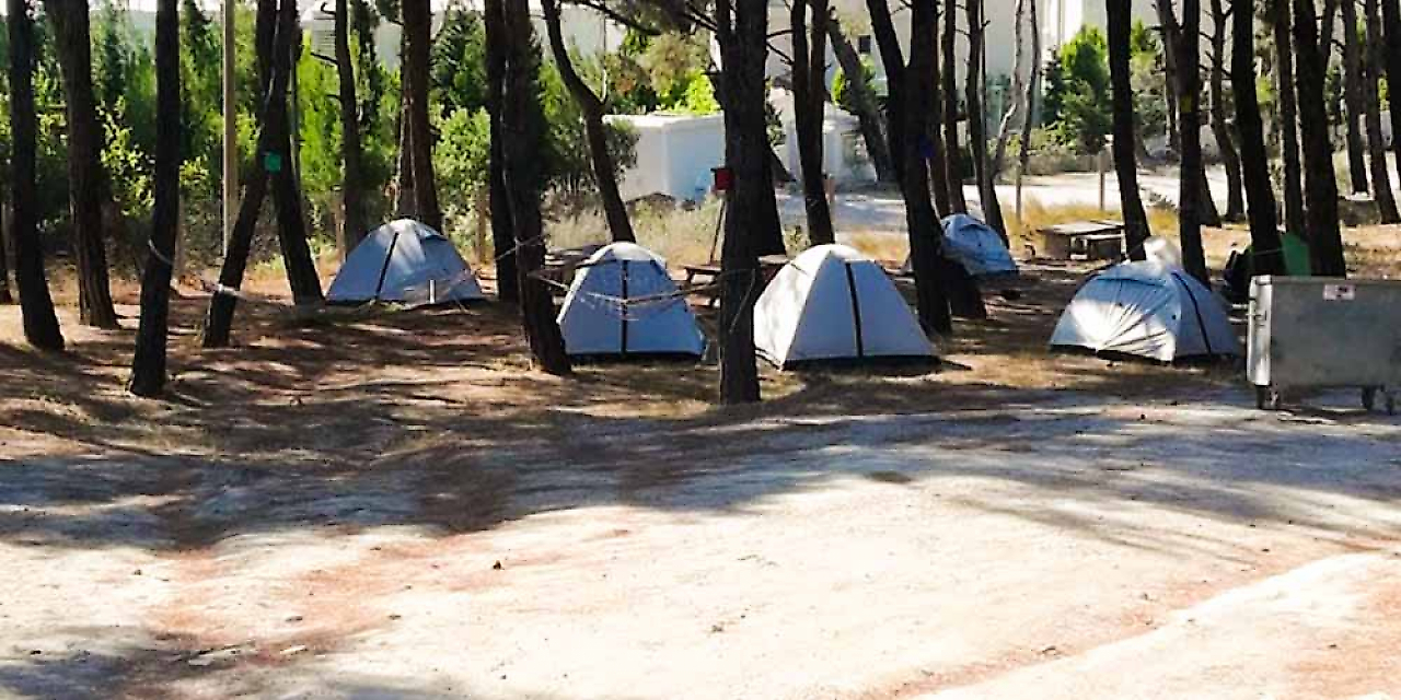 Çamlı Kamp ve Doğa Alanları: Güzelbahçe'de Doğayla İç İçe Bir Kaçış