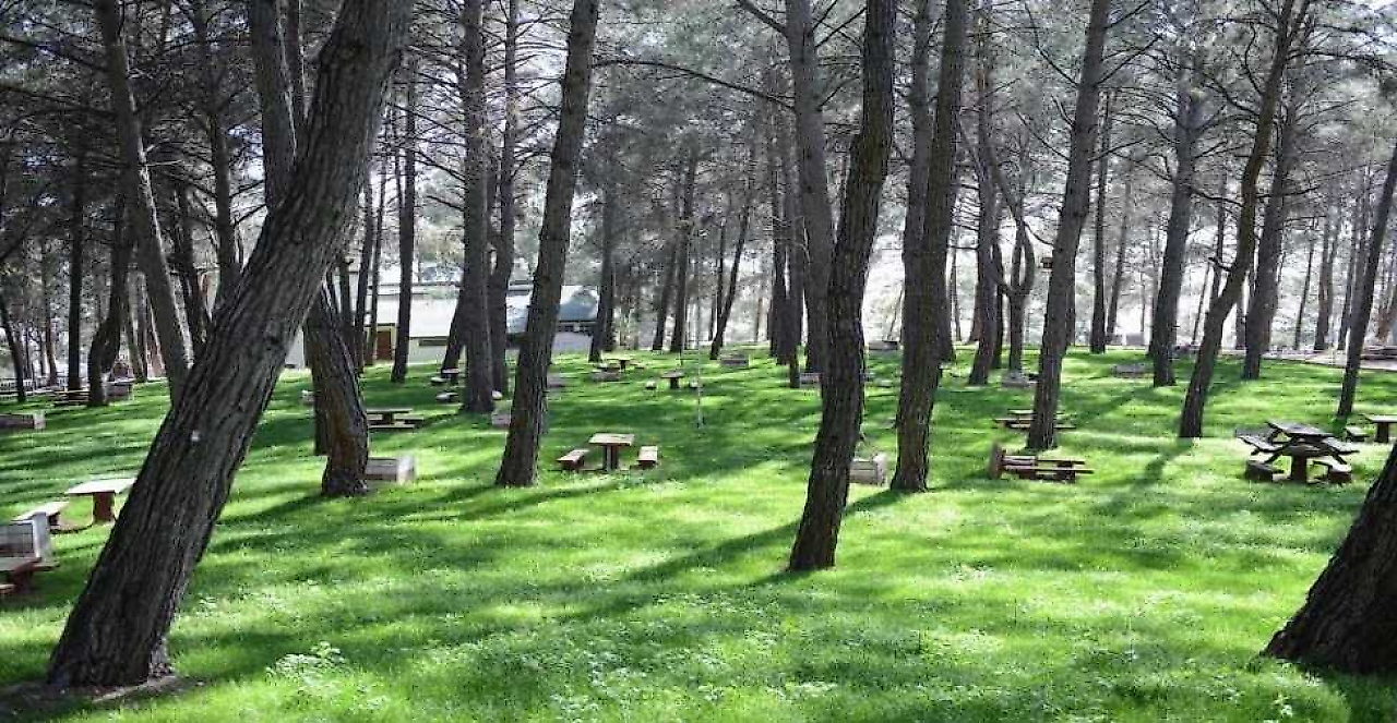 Kaynaklar Piknik ve Mesire Alanları: Buca'da Doğayla İç İçe