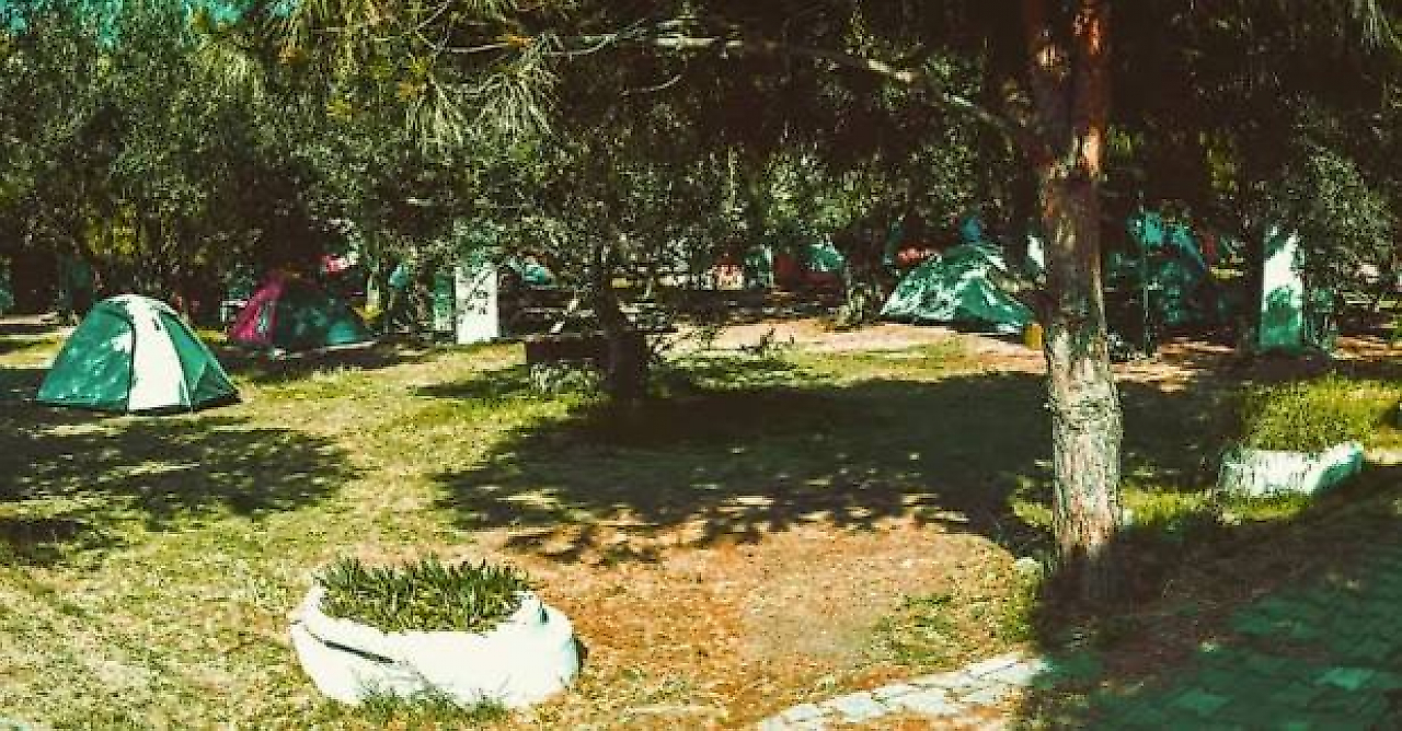 Bademli Kamp: Dikili'nin Turkuaz Koylarında Doğayla İç İçe Bir Tatil