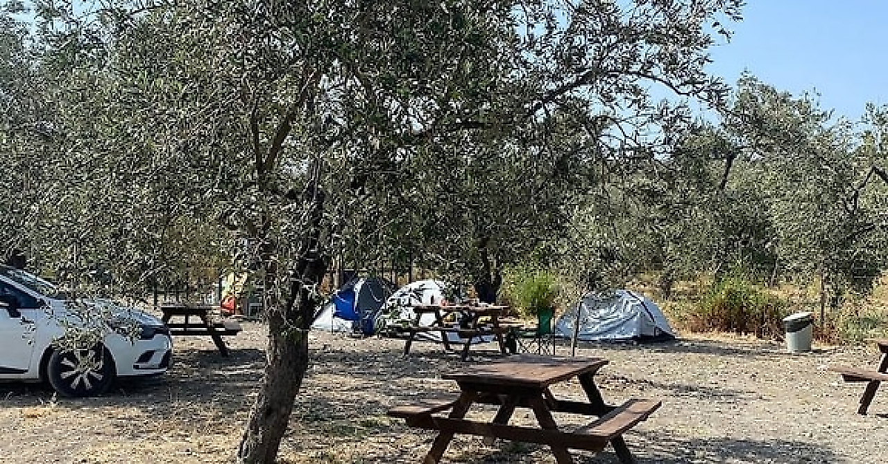 Şamlıgöl Kamp ve Piknik Alanı: Dikili Bademli'de Denize Sıfır Kamp Keyfi