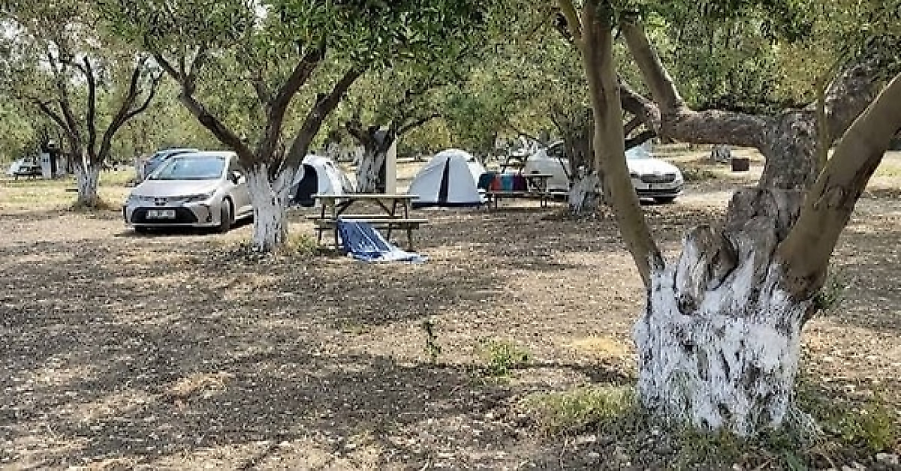 Şamlıgöl Kamp ve Piknik Alanı: Dikili Bademli'de Denize Sıfır Kamp Keyfi