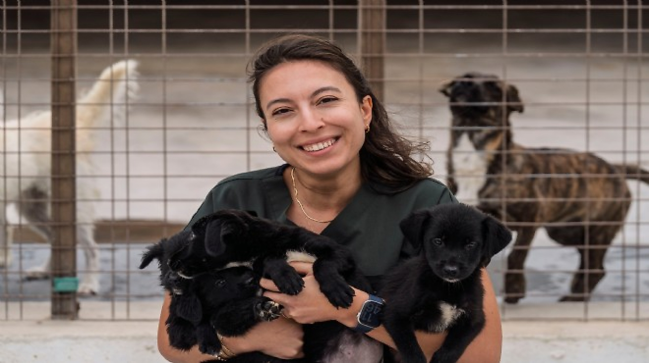 İzmir'de 2 bin 500 köpek için yeni yaşam alanı kurulacak