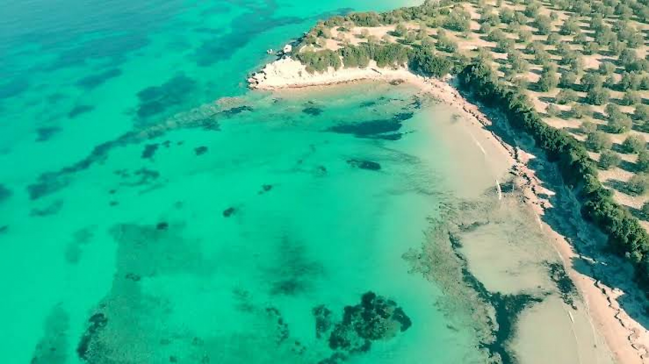 Pissa Koyu Kamp Alanı: Dikili'nin Turkuaz Denizi ve Doğal Güzellikleri