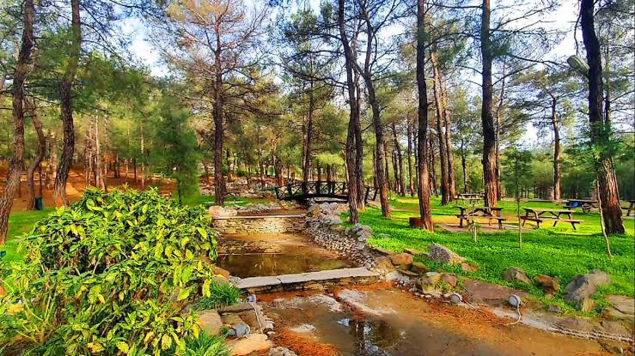 Otantik Piknik ve Kamp Alanı: İzmir'de Doğayla İç İçe Kamp ve Piknik Rehberi