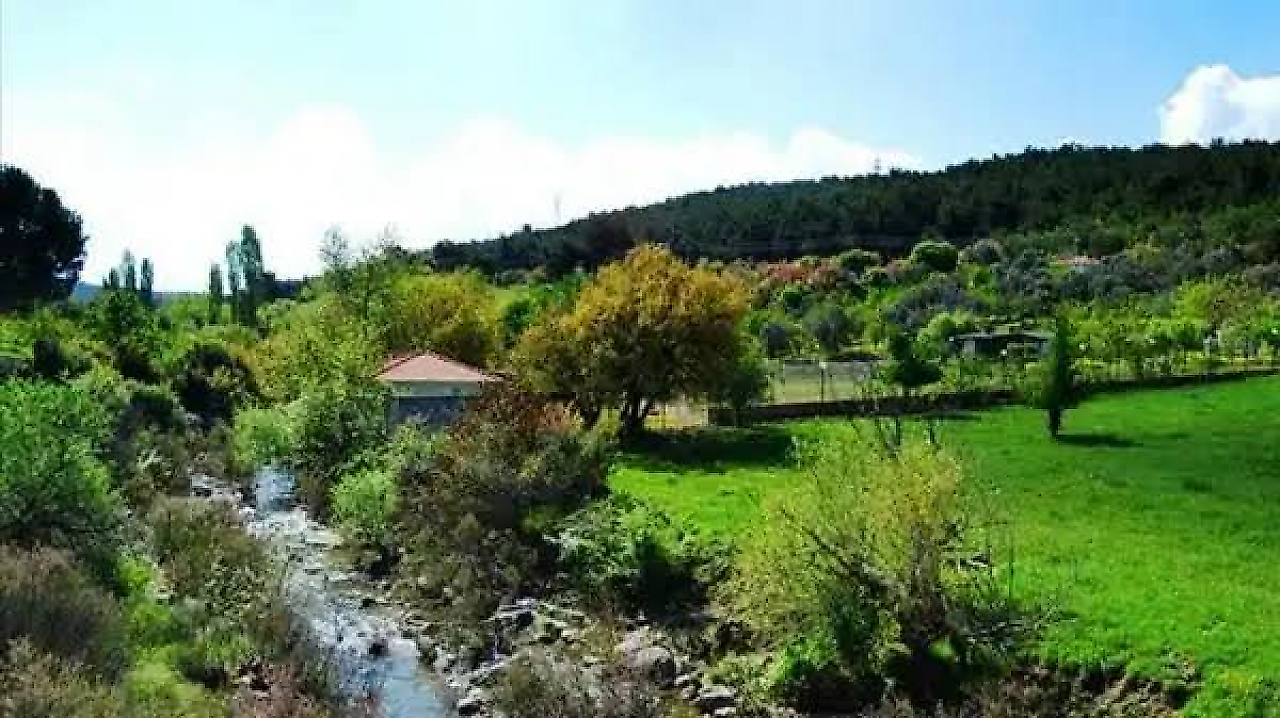 Çiçekliköy Kamp Alanı: Bornova'da Doğayla İç İçe Huzurlu Bir Kaçış
