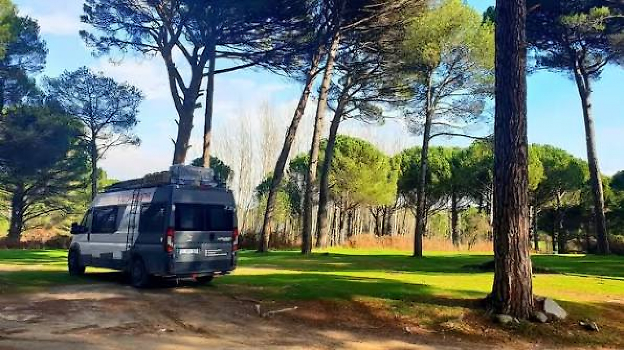 Kozak Yaylası'nda Doğa Kampı: Çam Ormanları Arasında Huzurlu Bir Kamp Deneyimi