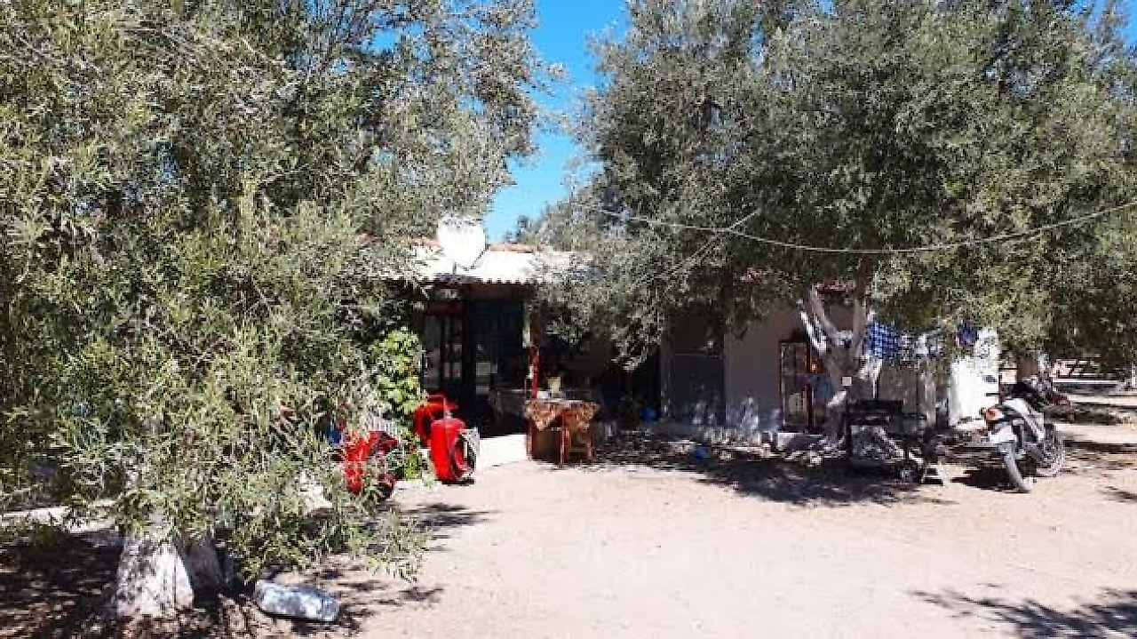 Zeytin Gölgesi Camping: Dikili'de Zeytin Ağaçlarının Gölgesinde Kamp Keyfi