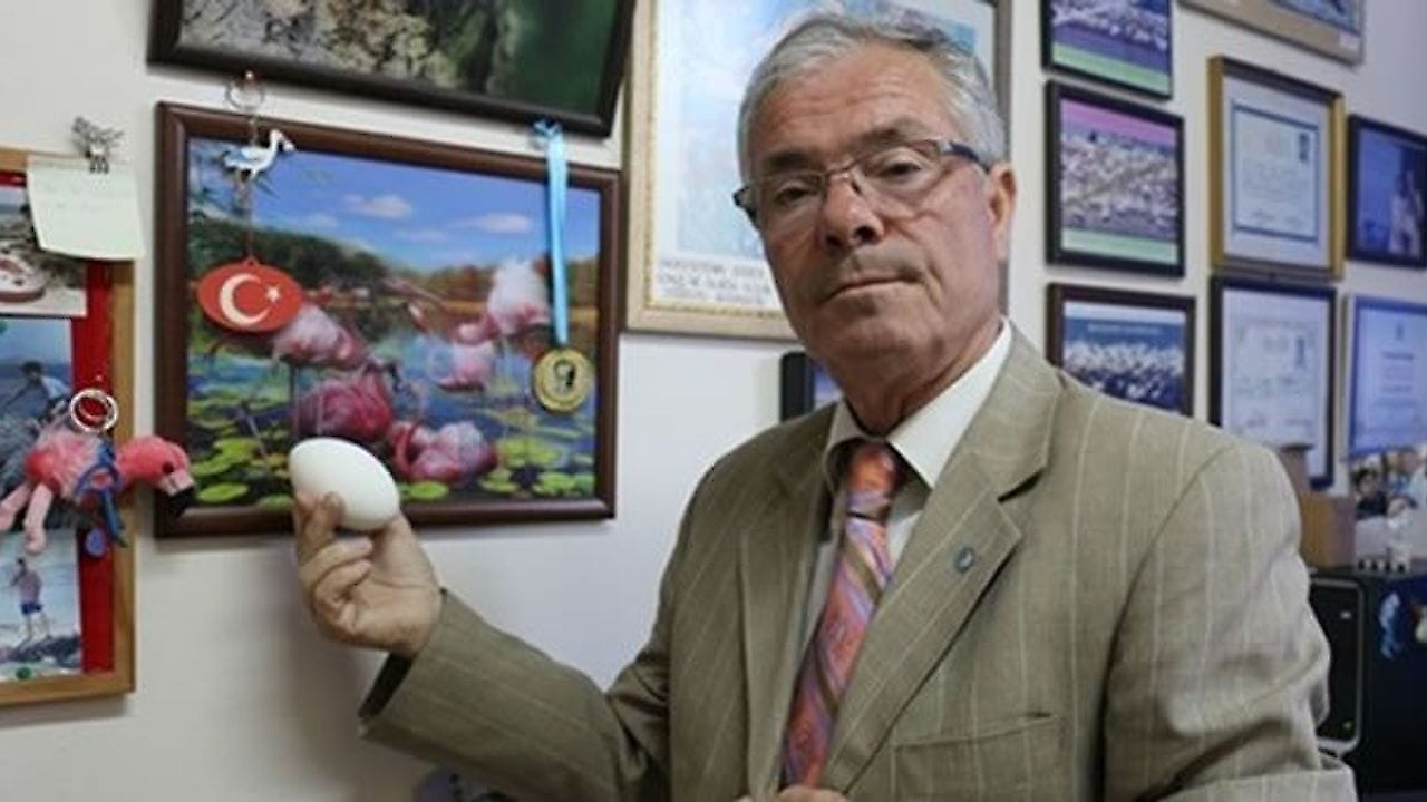 İzmir'in doğal mirasına politikanın gölgesi düştü: Siyasete alet etmekle bir milim ilerlenmiyor