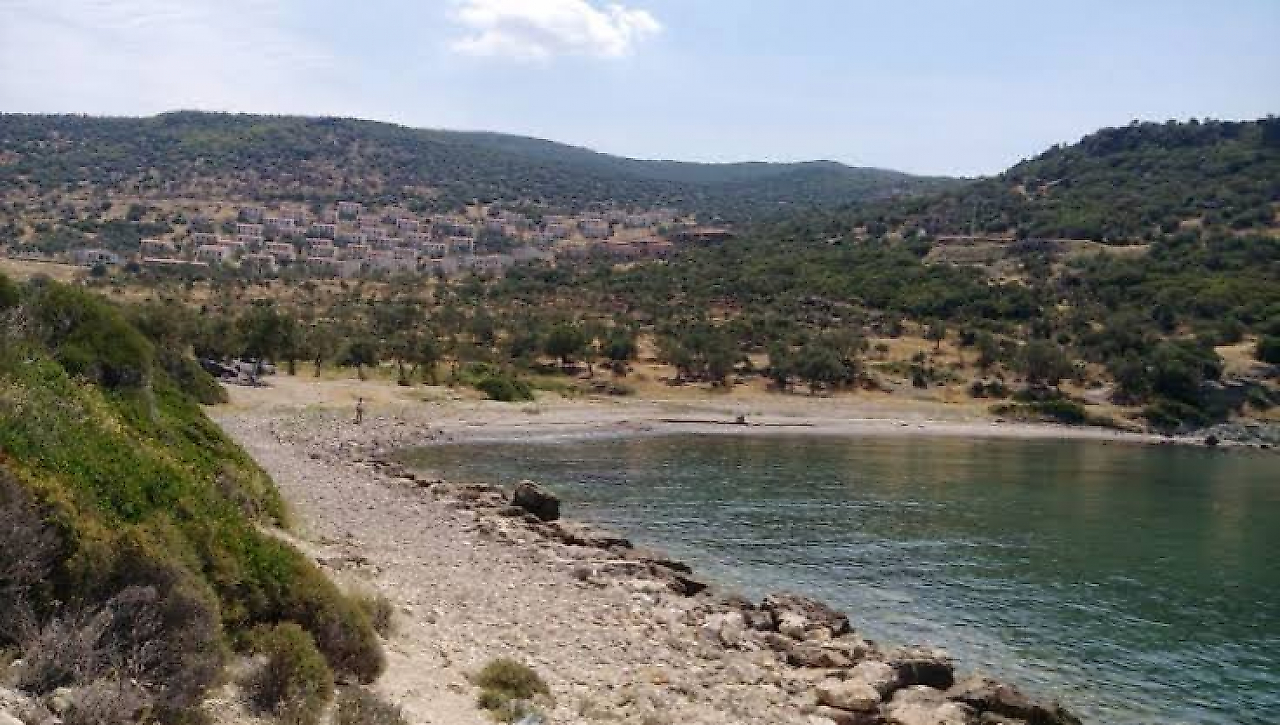 Hayıtlı Koyu Kamp Alanı: Dikili'nin Berrak Denizi ve Doğayla İç İçe Tatil Rehberi