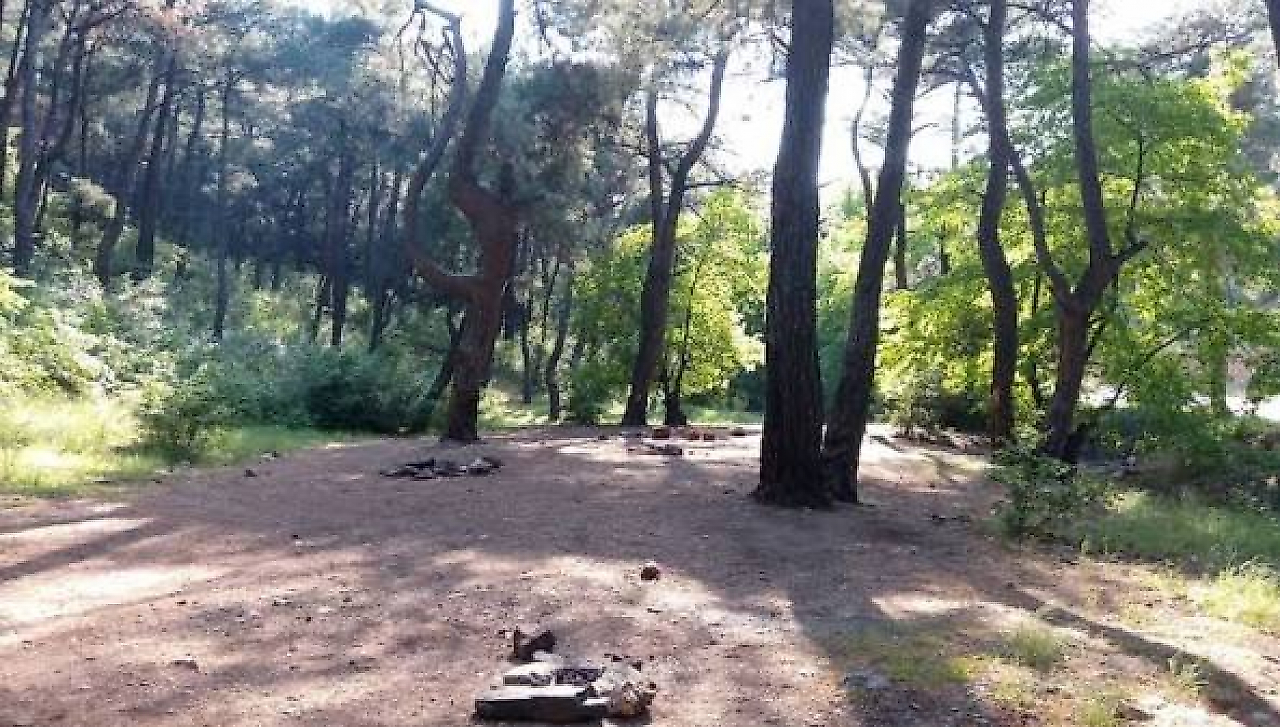 Dereköy Kamp Alanı: Kemalpaşa'da Doğayla Baş Başa Kamp Deneyimi