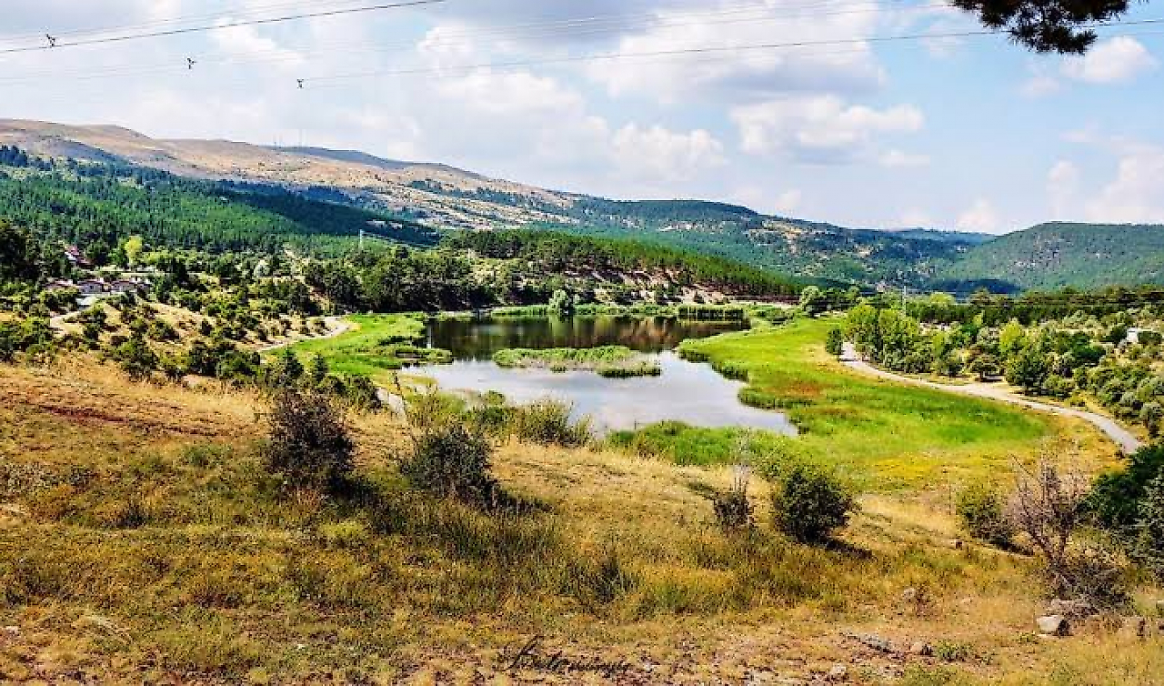 Karşıyaka Kamp Yerleri: İzmir'de Doğa ve Denizle İç İçe Kamp Rehberi