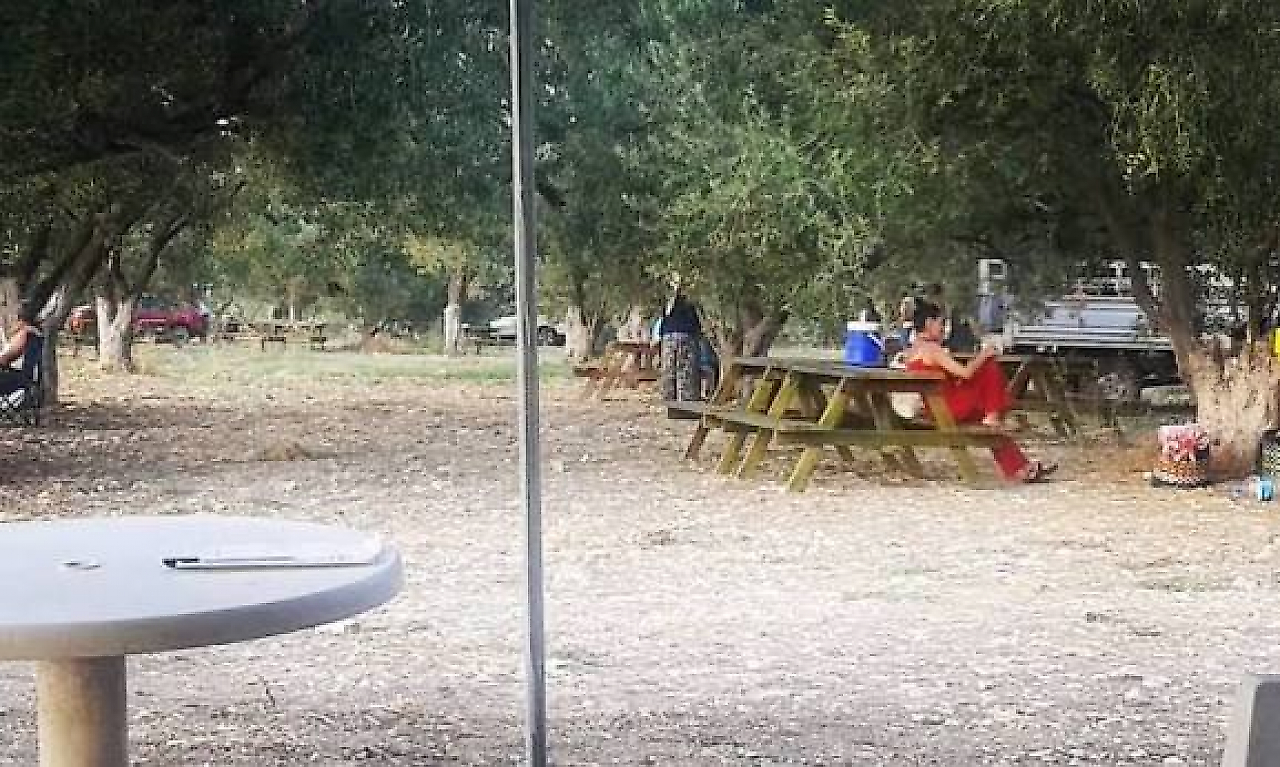 Dikili Kamp Yerleri: Denize Sıfır ve Doğayla İç İçe Kamp Alanları