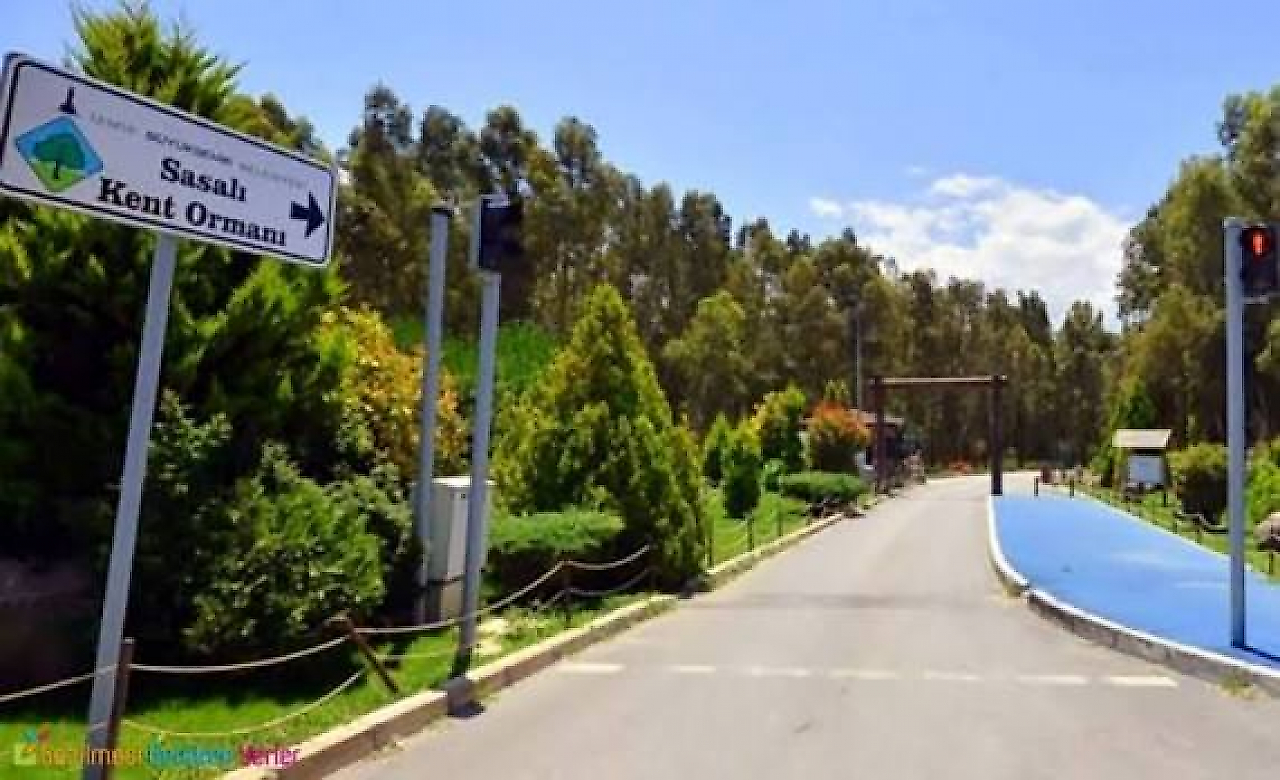 Çiğli Kamp Yerleri: Doğayla İç İçe Vakit Geçirebileceğiniz Alanlar