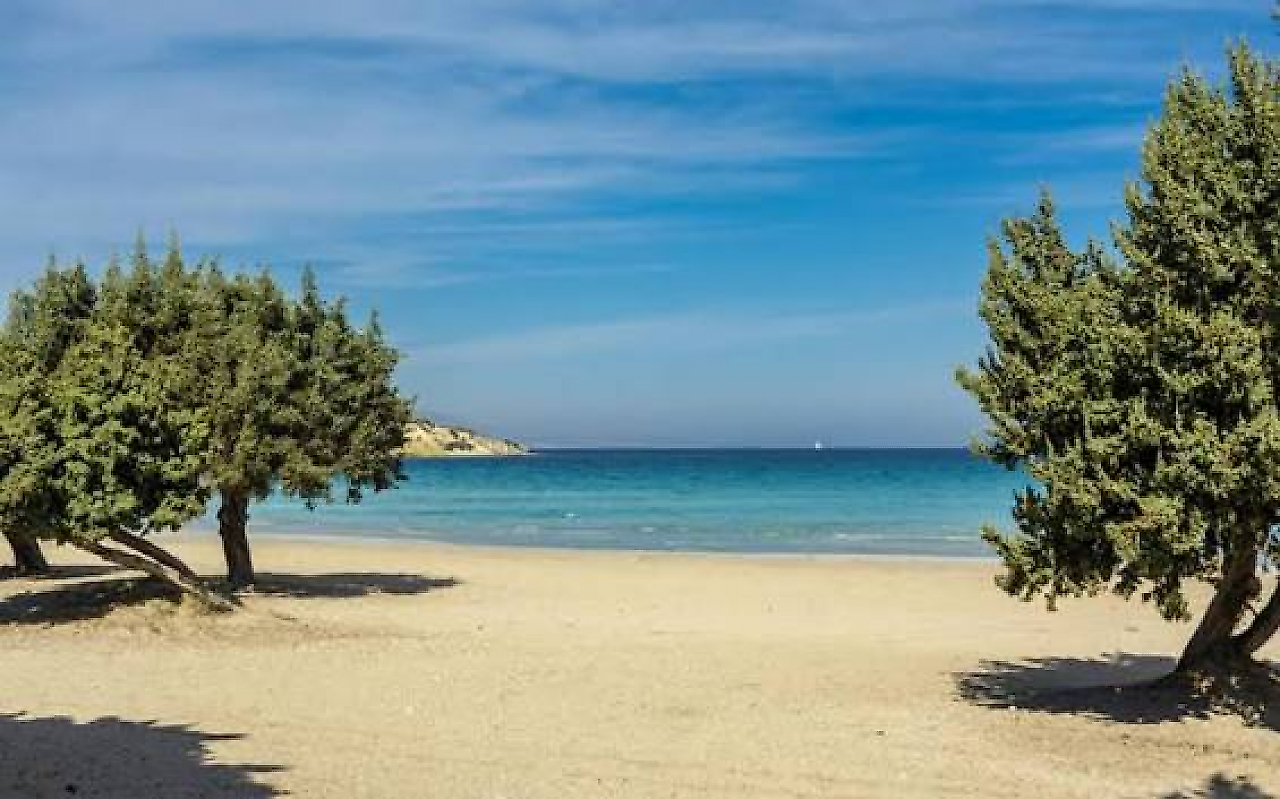 Alaçatı Kamp Alanları: Çeşme'de Deniz, Rüzgar ve Doğayla İç İçe Kamp Rehberi