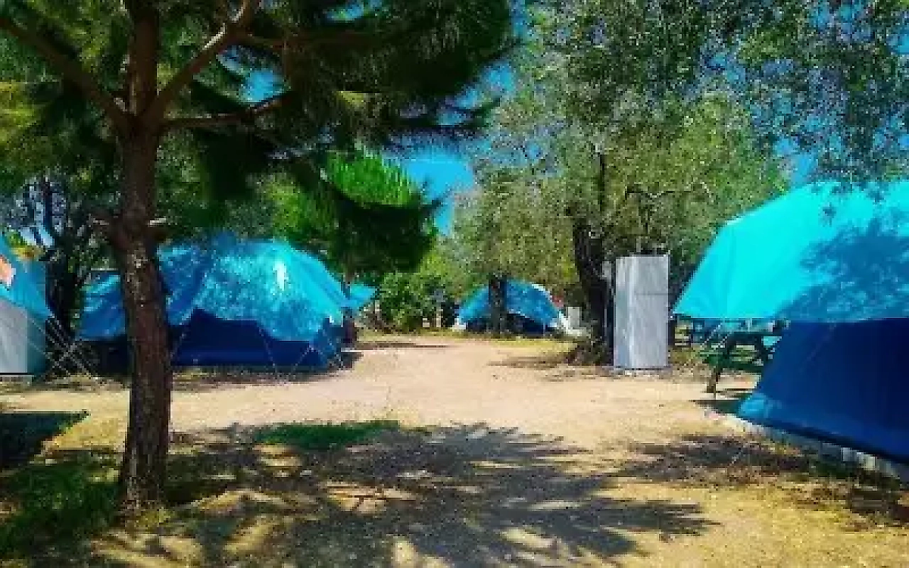 Bademli Kamp: Dikili'nin Turkuaz Koylarında Doğayla İç İçe Bir Tatil