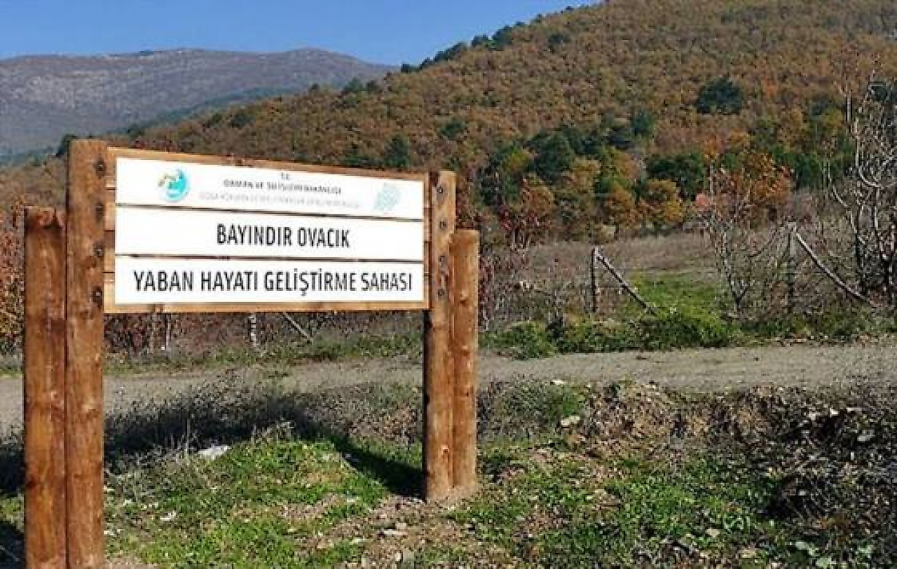 Ovacık Tabiat Parkı Nerede, Nasıl Gidilir? Kamp ve Piknik Alanları
