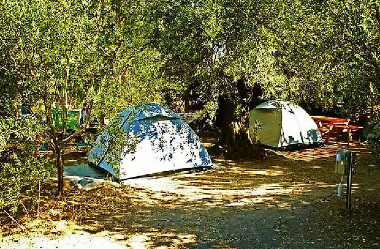 Bademli Kamp: Dikili'nin Turkuaz Koylarında Doğayla İç İçe Bir Tatil