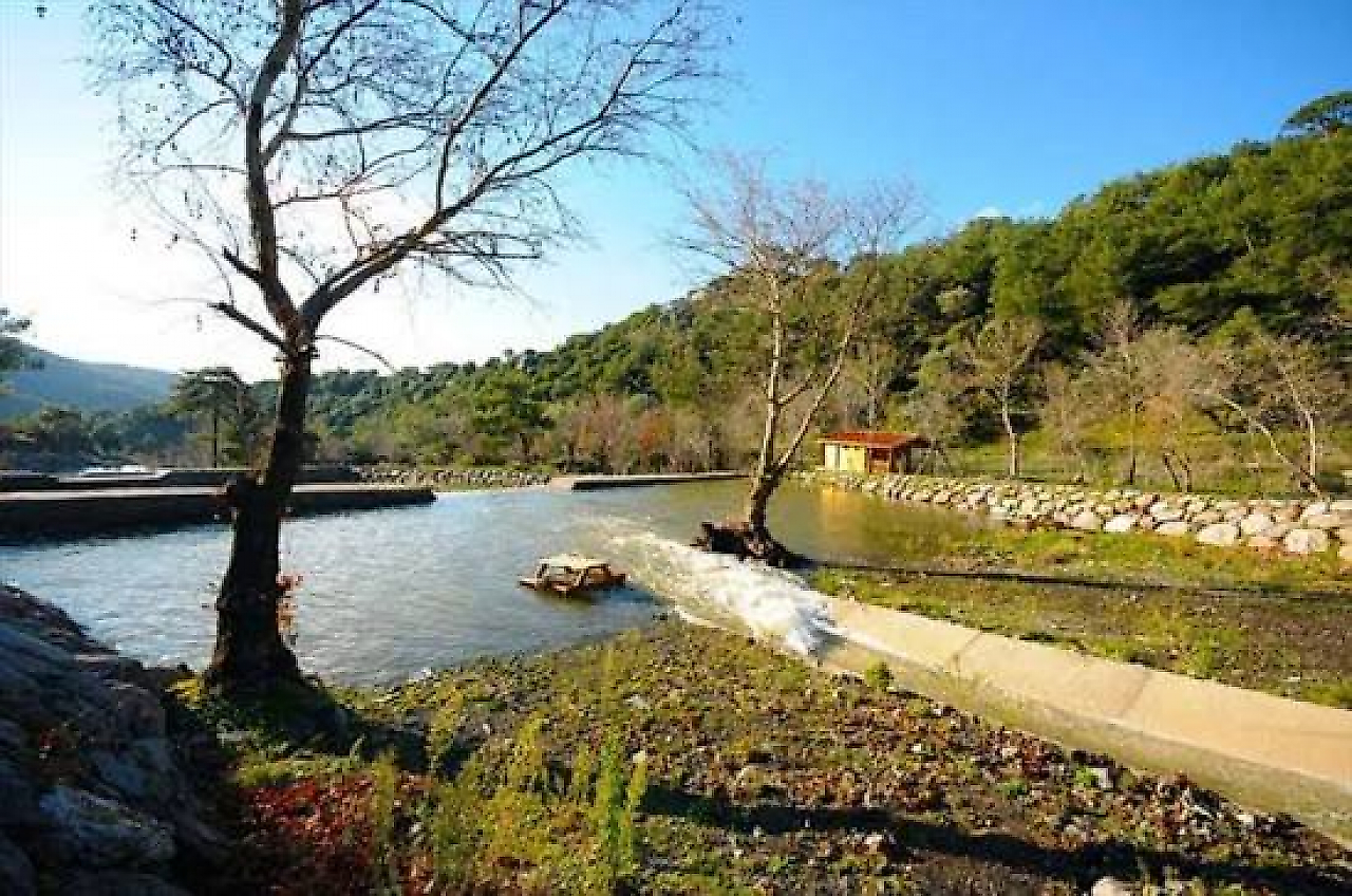Bornova Kamp Alanları: İzmir Bornova'da Kamp Yapılabilecek Yerler