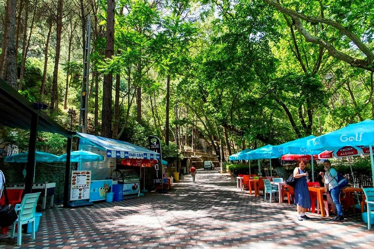 Kemalpaşa Kamp Yerleri: İzmir'de Orman, Kanyon ve Doğayla İç İçe Kamp Alanları