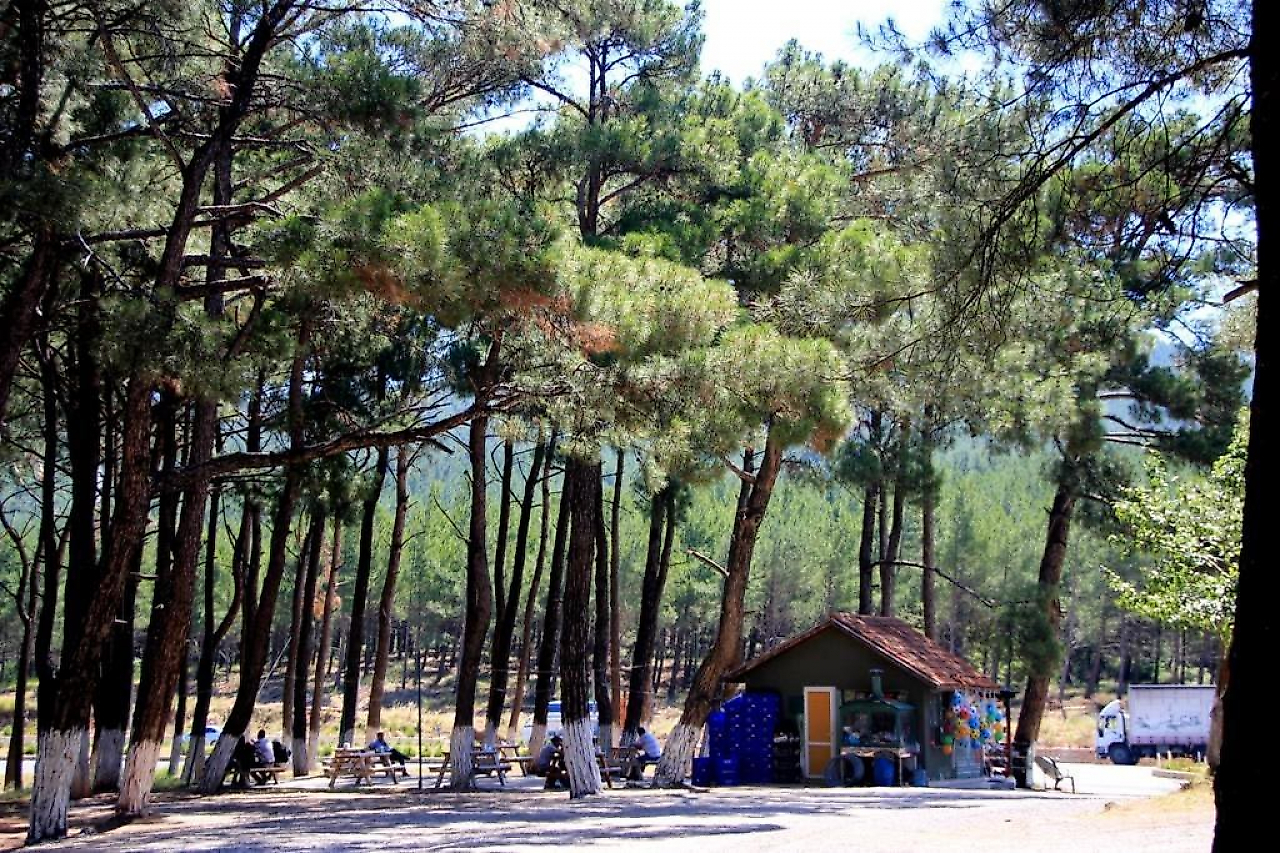 Kemalpaşa Kamp Yerleri: İzmir'de Orman, Kanyon ve Doğayla İç İçe Kamp Alanları