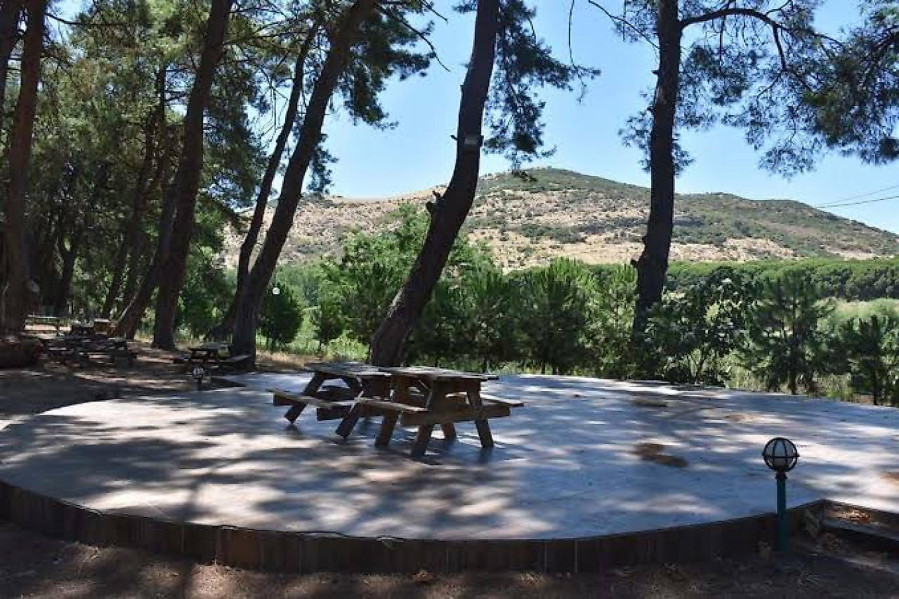 İzmir Menemen Kamp Yerleri: Doğayla İç İçe Kamp Yapılabilecek Alanlar