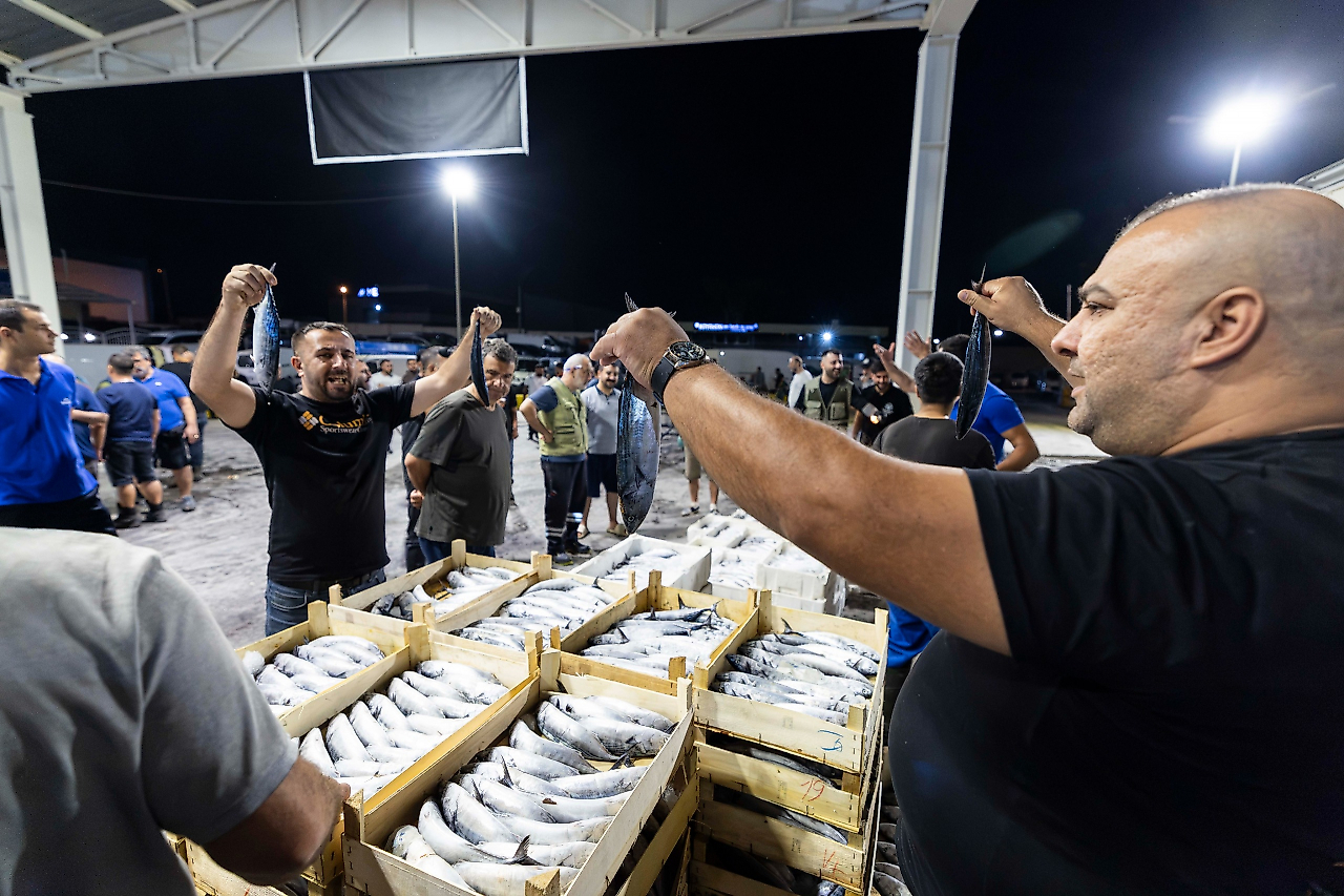 İzmir'de balık sezonu bereketli başladı: Bir ayda 9 bin tonu aştı!