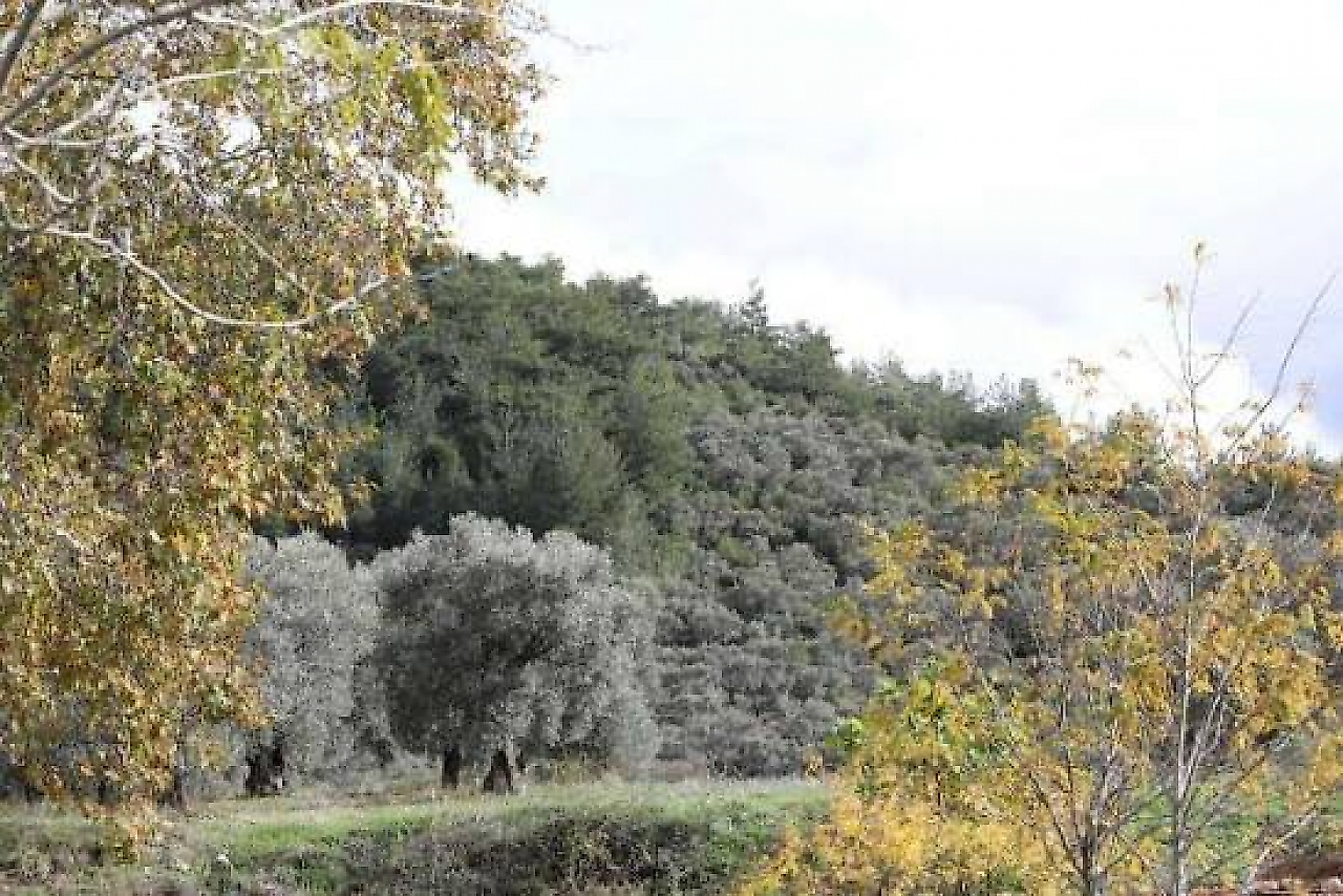 Kırıklar ve Çevresindeki Doğal Alanlar: Buca'da Doğayla İç İçe Kamp ve Gezi Rotası