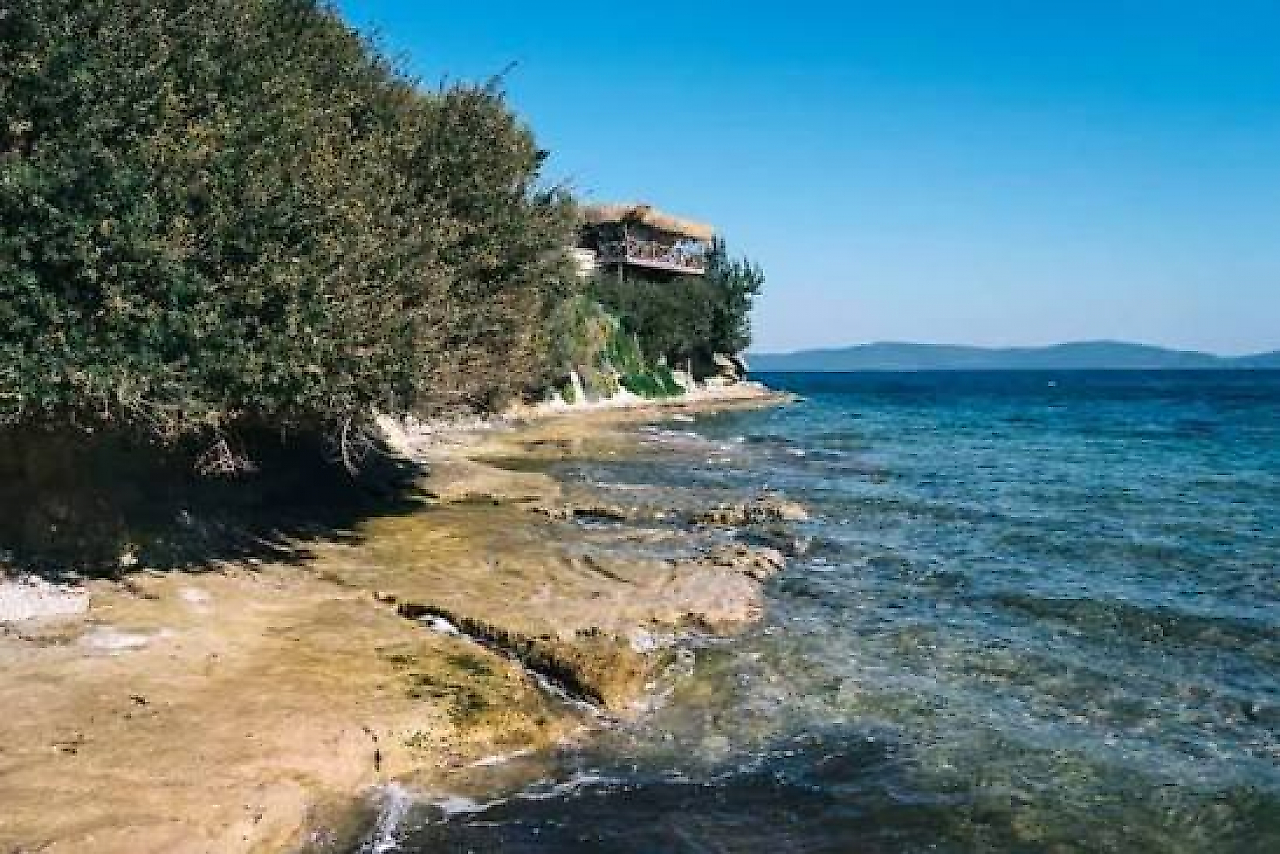 Ayıbalığı Koyu Kamp Alanı: İzmir Karaburun'da Deniz ve Doğayla İç İçe Kamp