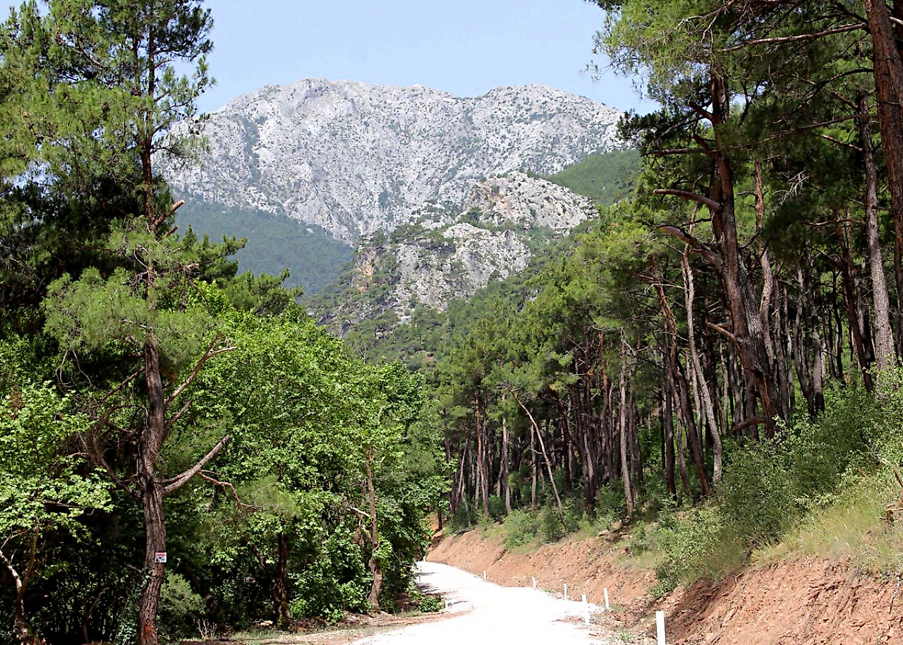 Kemalpaşa Kamp Yerleri: İzmir'de Orman, Kanyon ve Doğayla İç İçe Kamp Alanları