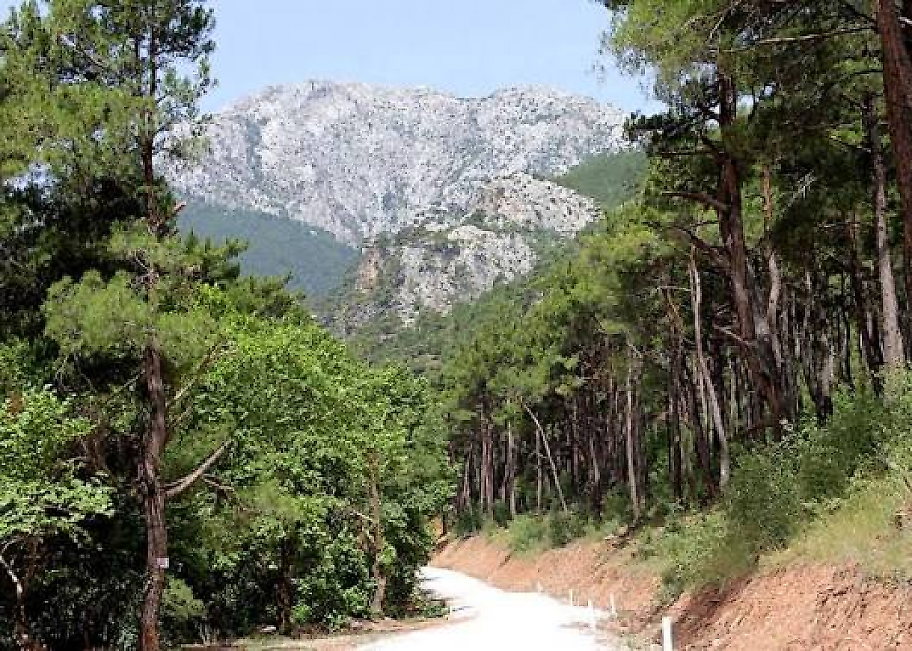 Dereköy Kamp Alanı: Kemalpaşa'da Doğayla Baş Başa Kamp Deneyimi