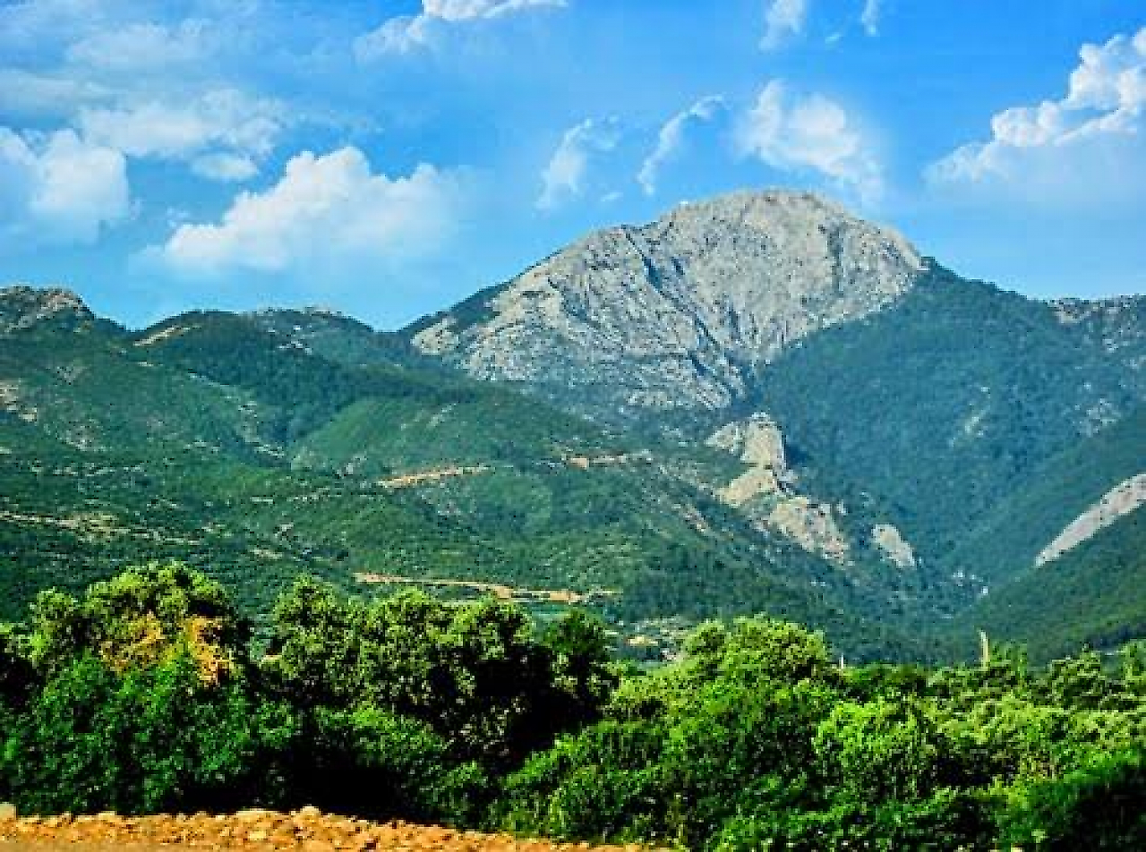 Kemalpaşa Kamp Yerleri: İzmir'de Orman, Kanyon ve Doğayla İç İçe Kamp Alanları