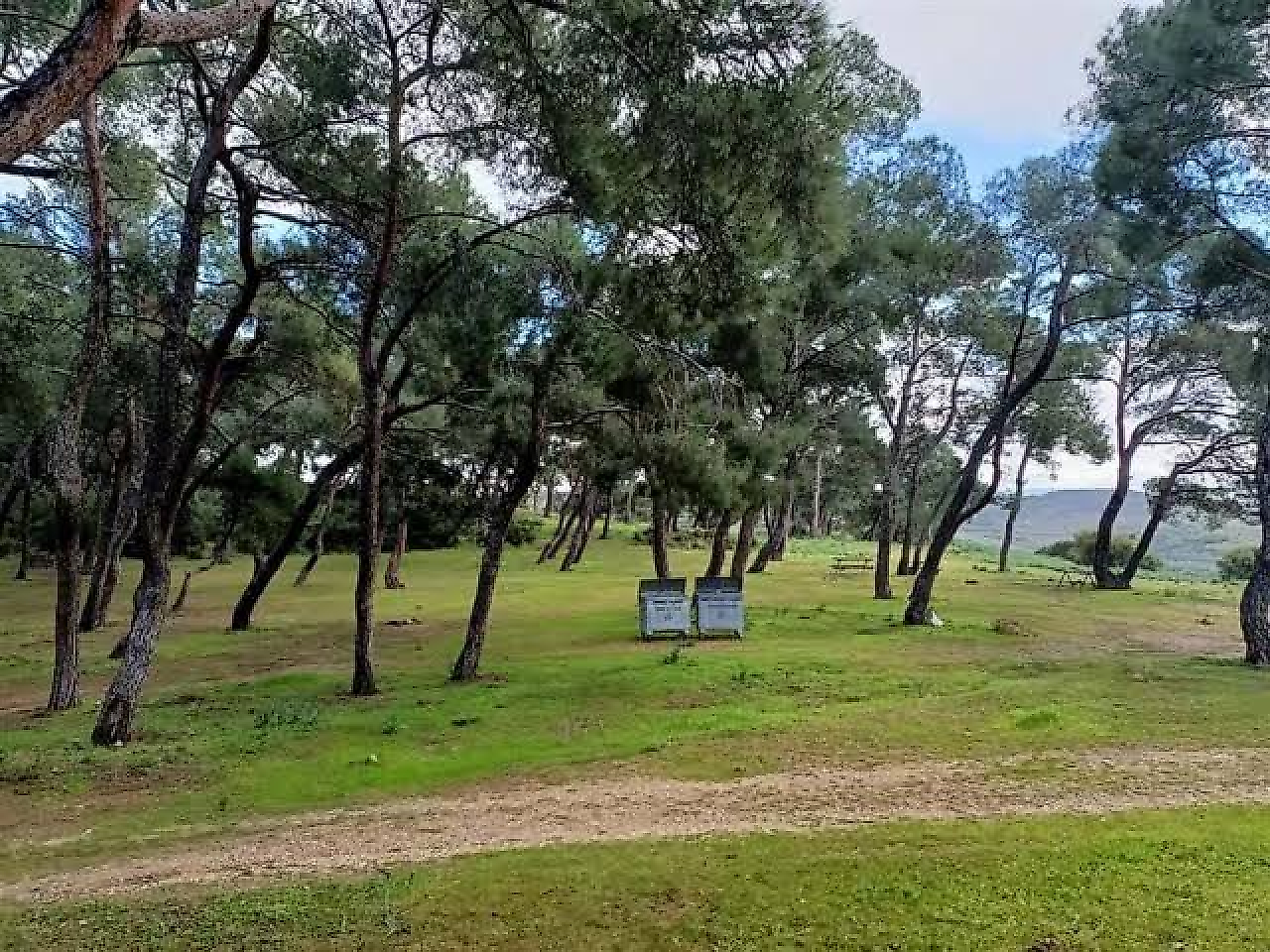 İzmir Menemen Kamp Yerleri: Doğayla İç İçe Kamp Yapılabilecek Alanlar