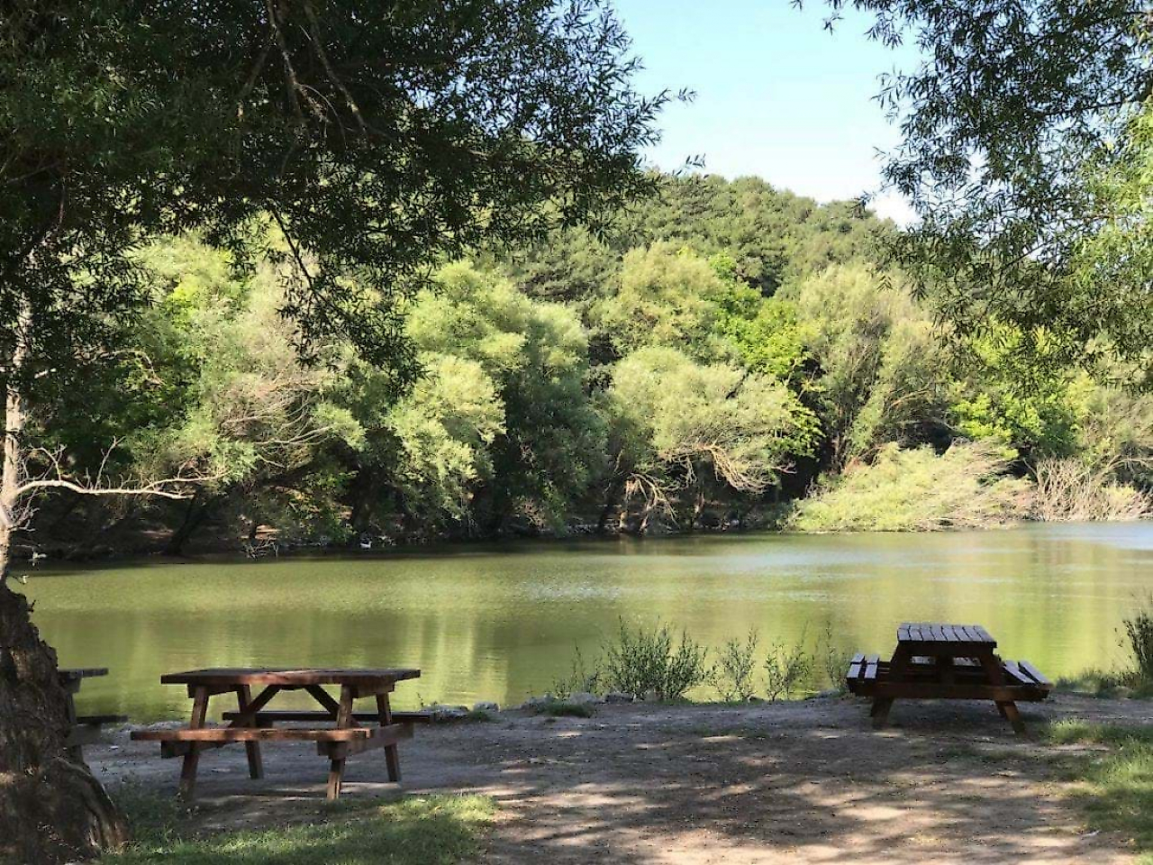 İzmir Menemen Kamp Yerleri: Doğayla İç İçe Kamp Yapılabilecek Alanlar